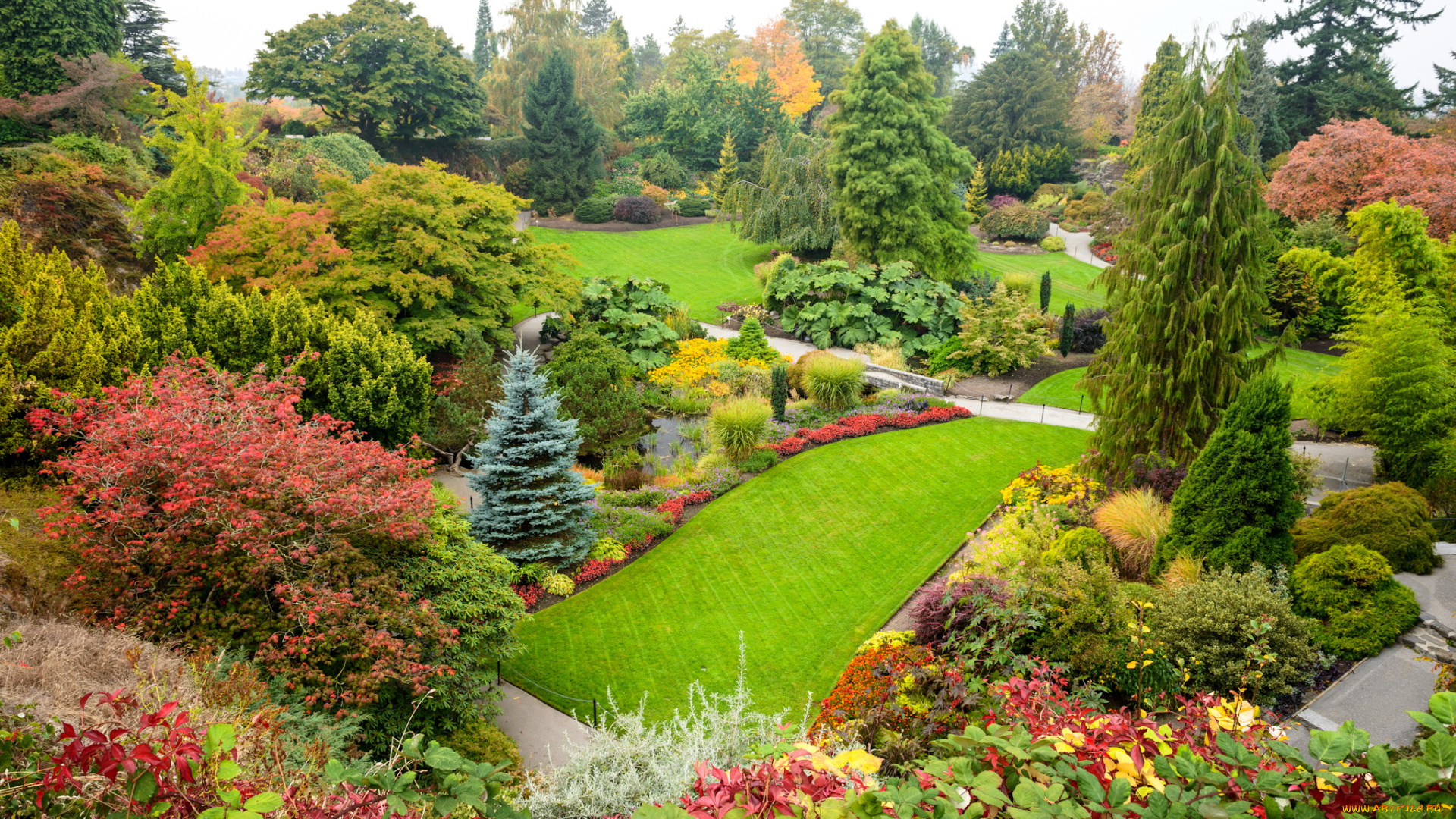 queen, elizabeth, park, vancouver, природа, парк, elizabeth, queen, кусты, клумбы, трава, деревья, цветы, vancouver, park