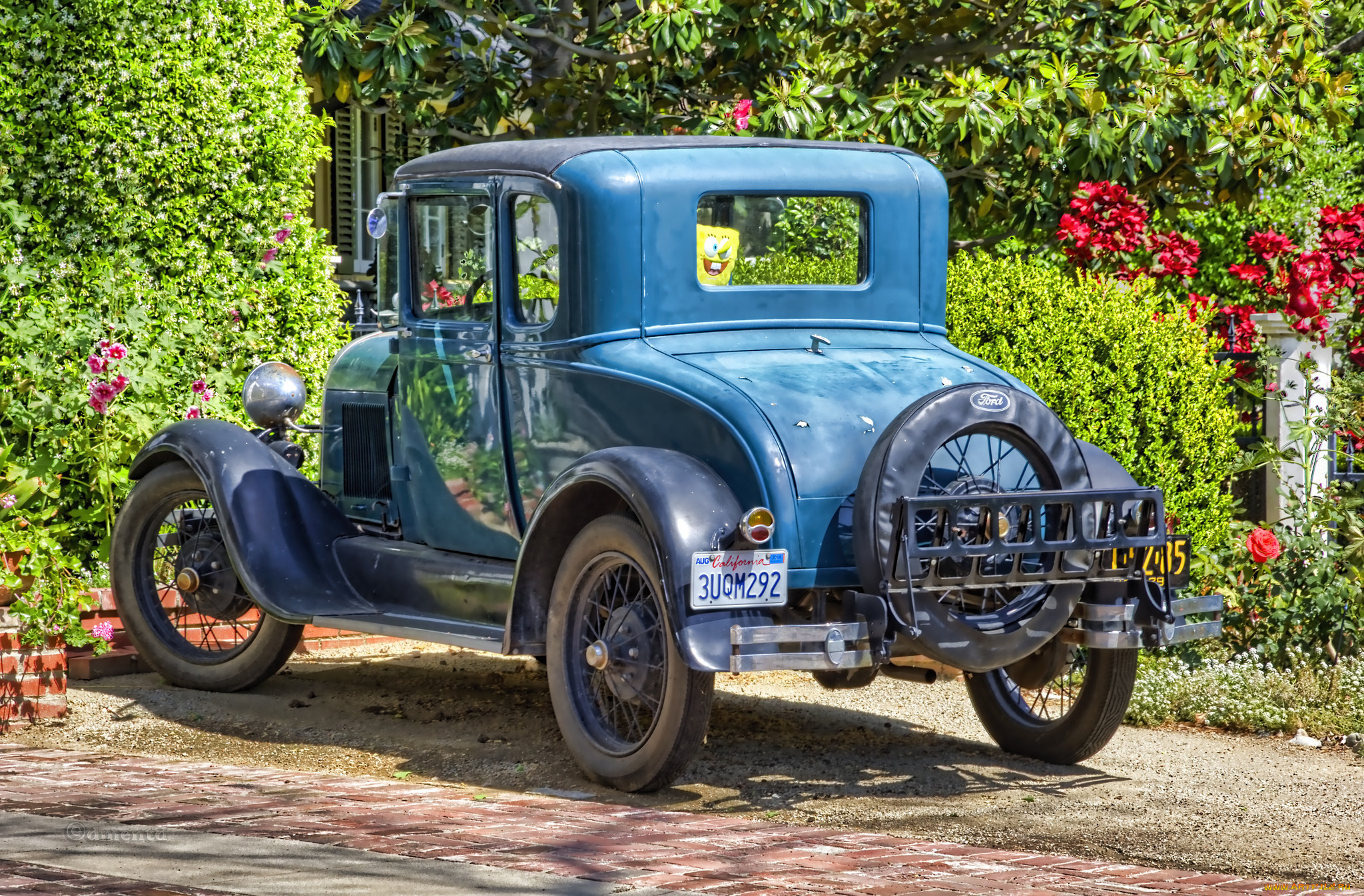 автомобили, выставки, и, уличные, фото, выставка, автошоу