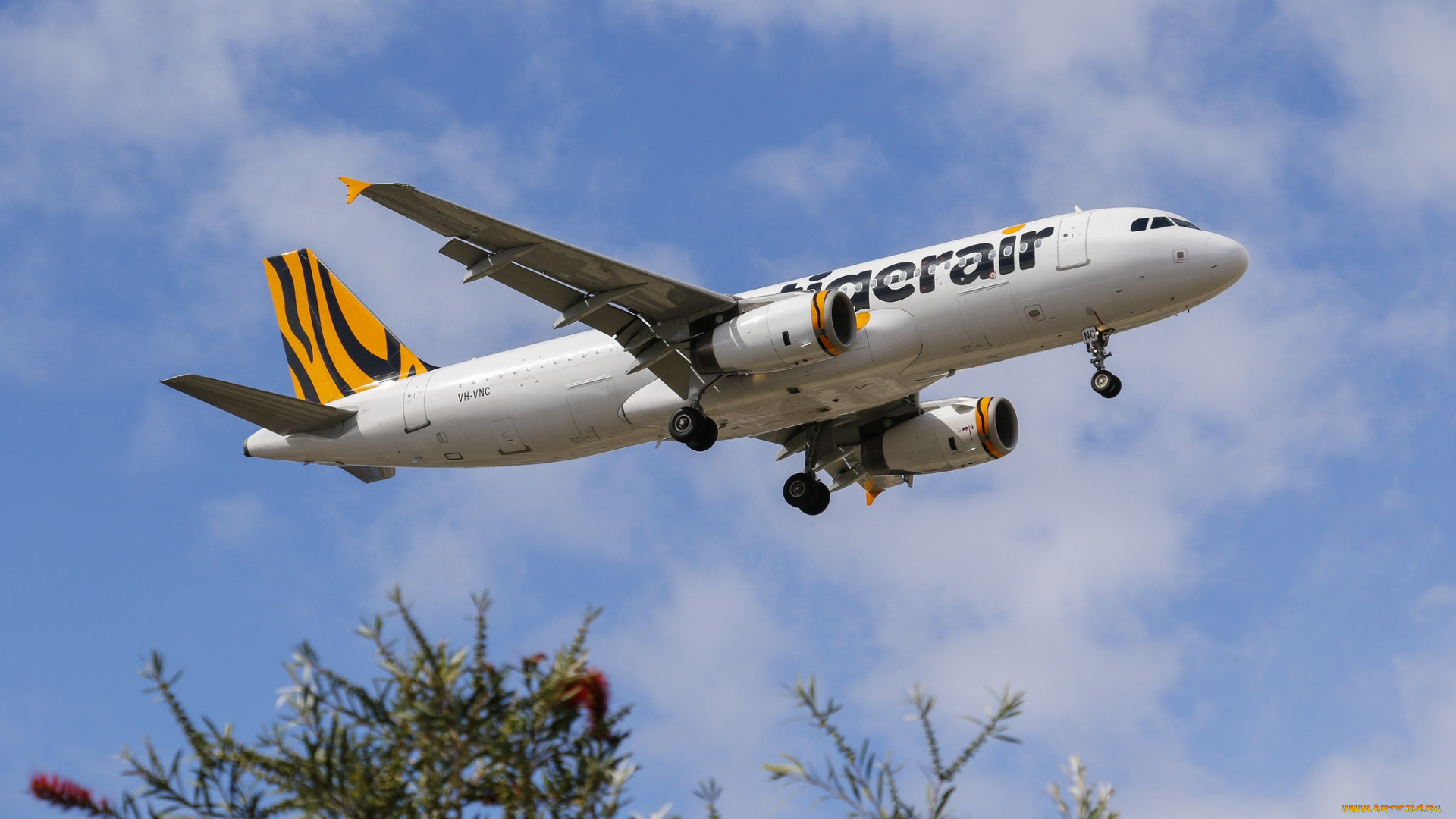 a320, авиация, пассажирские, самолёты, авиалайнер, полет