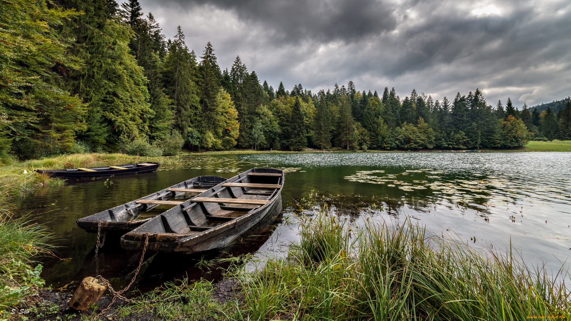 корабли, лодки, , шлюпки, плоскодонки, река, лес