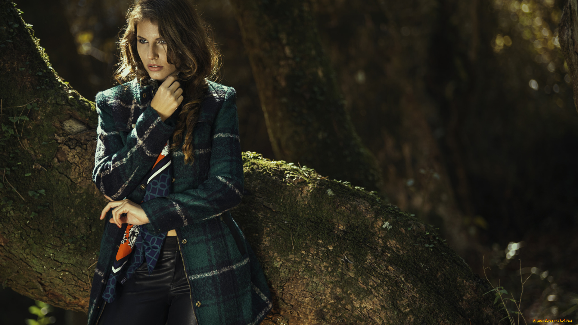 девушки, -unsort, , брюнетки, , шатенки, лицо, взгляд