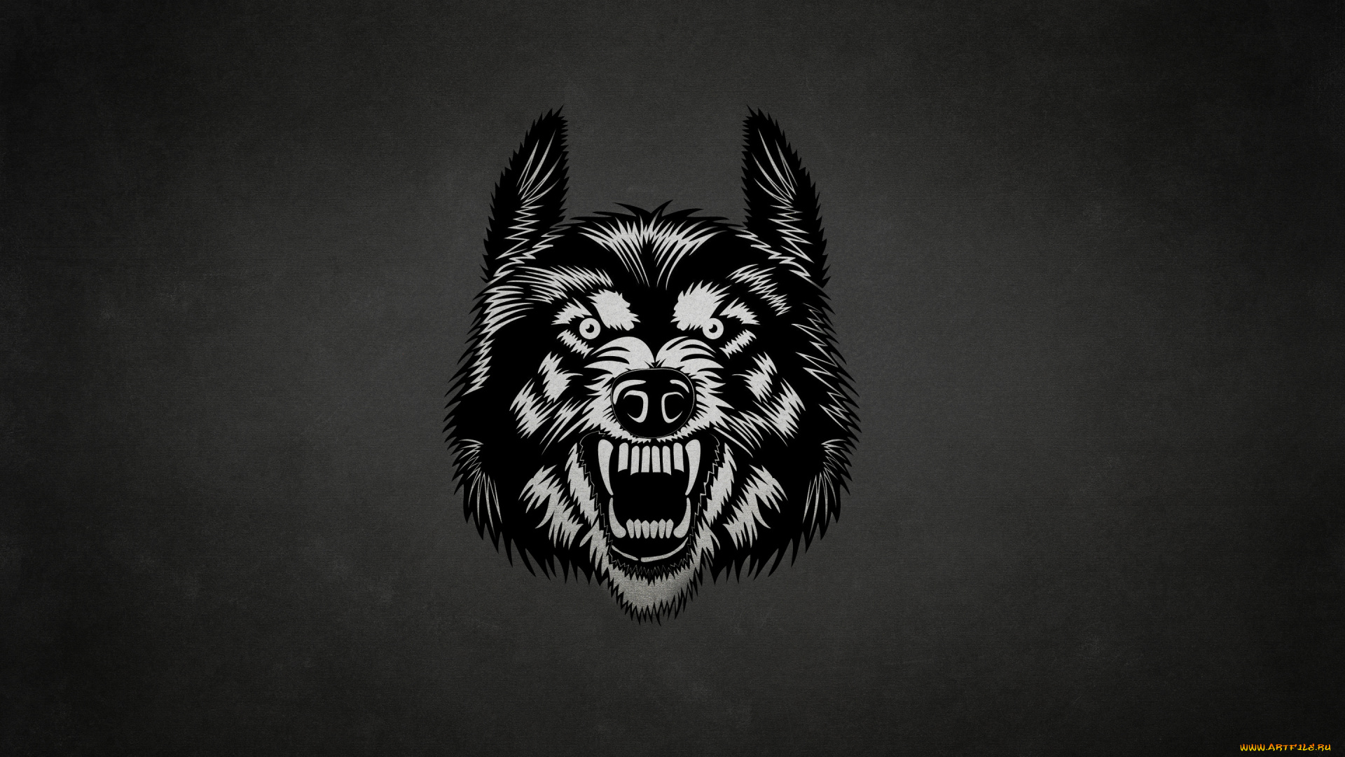 рисованное, минимализм, волк, морда, wolf, темный, фон