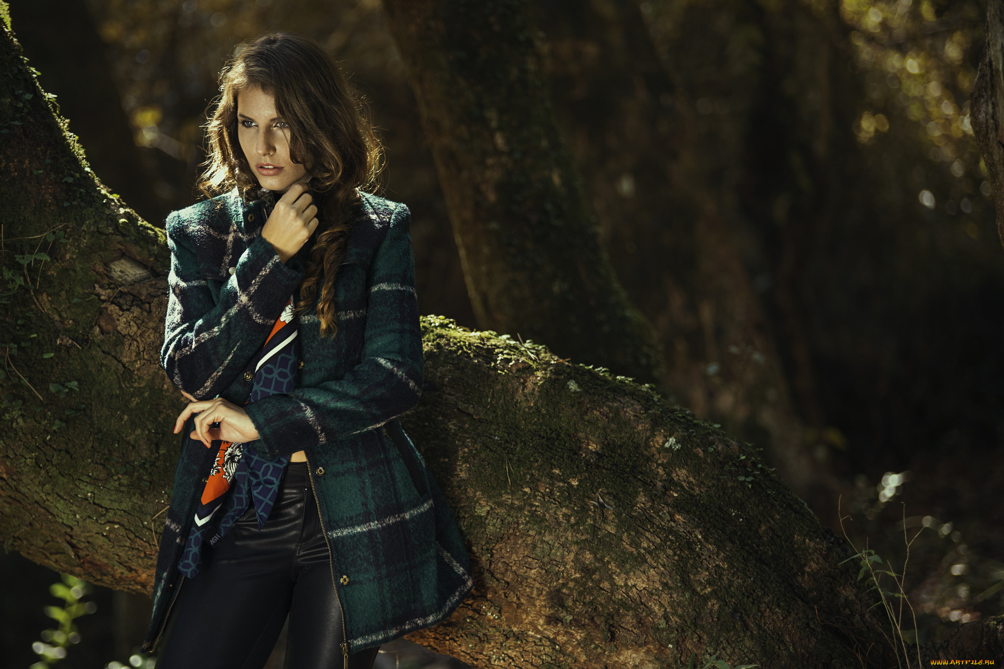 девушки, -unsort, , брюнетки, , шатенки, лицо, взгляд