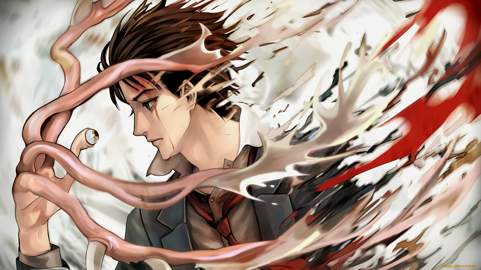 аниме, kiseijuu, , sei, no, kakuritsu, правик, шиничи, изуми