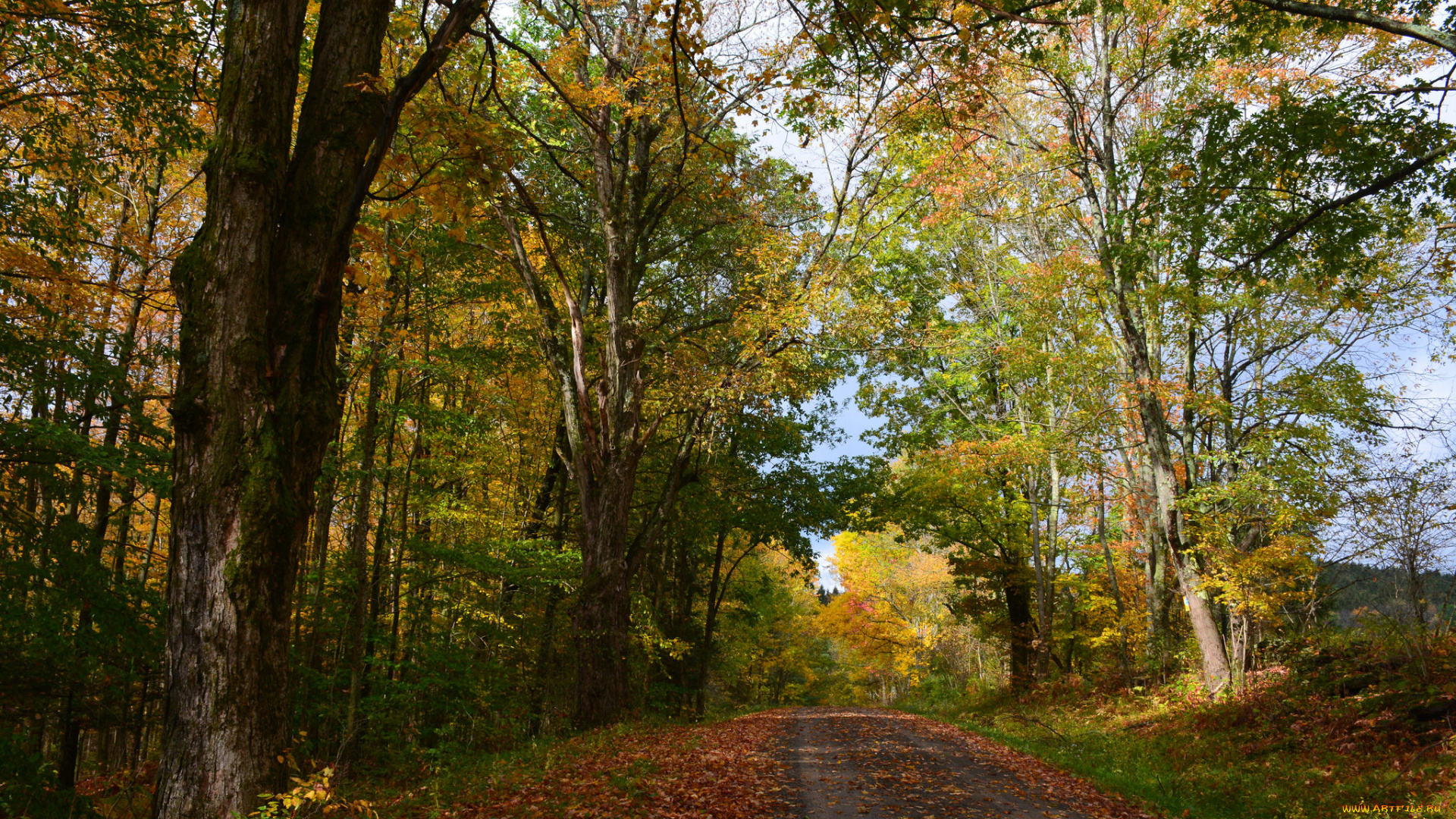 природа, дороги, простор