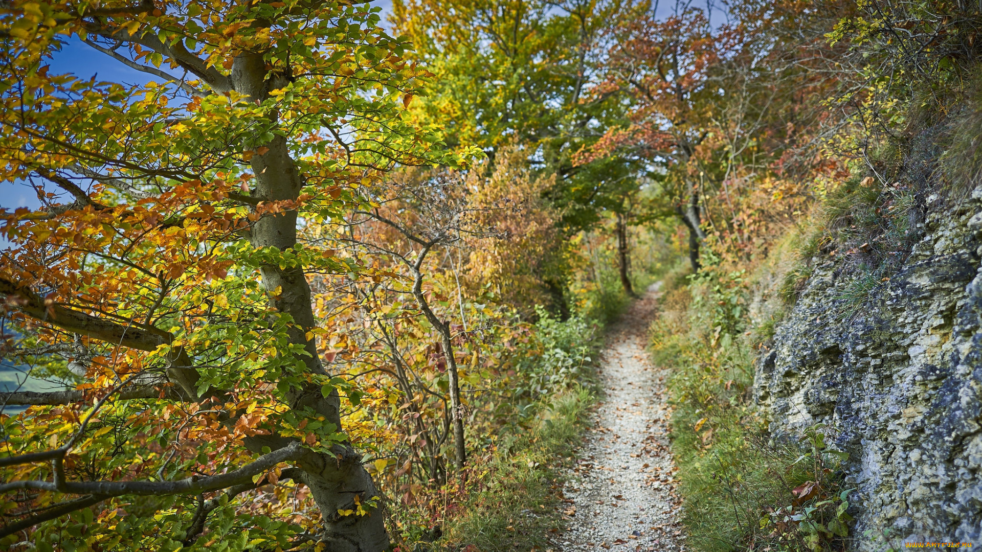 природа, дороги, простор