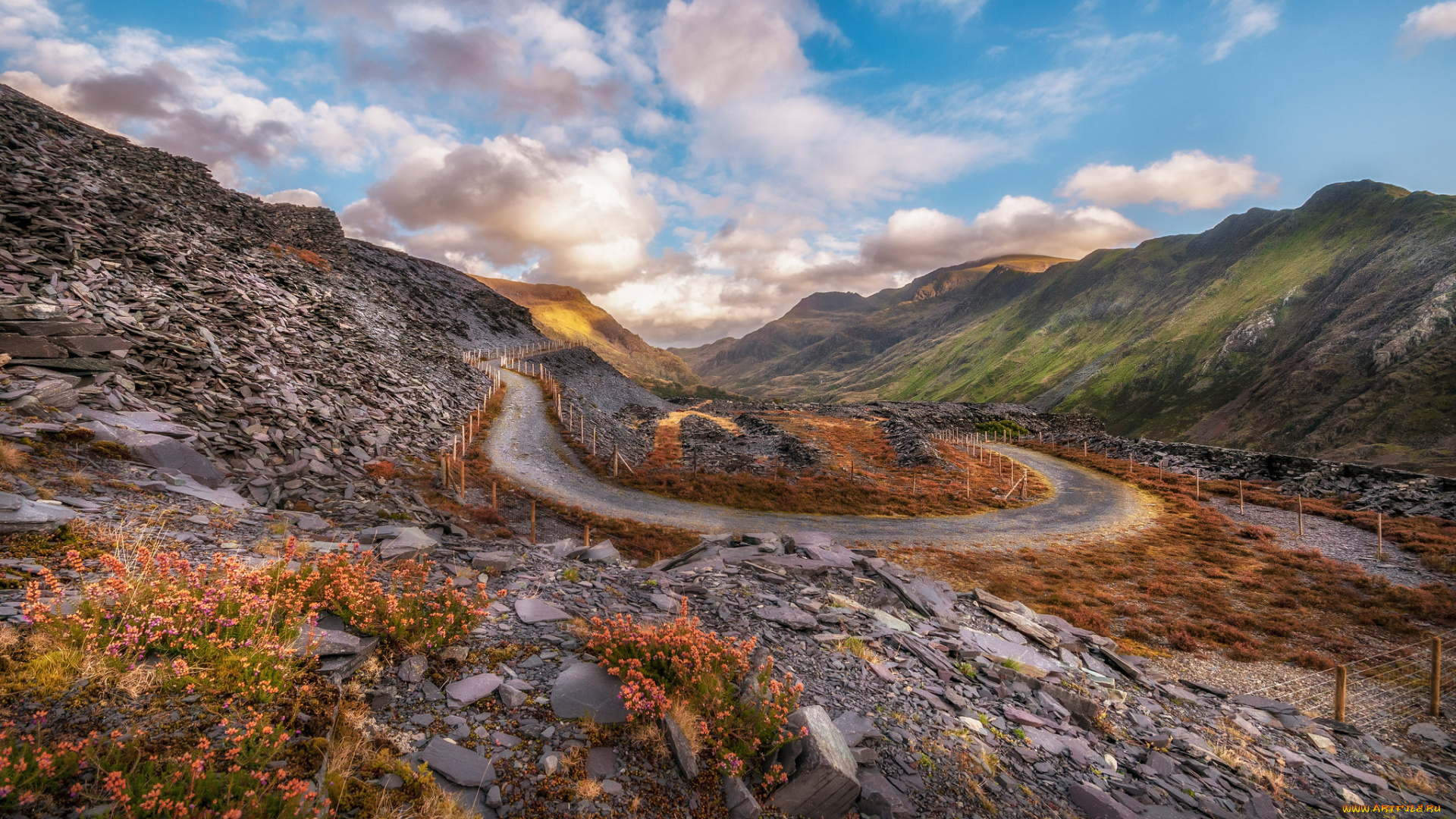 природа, дороги, простор