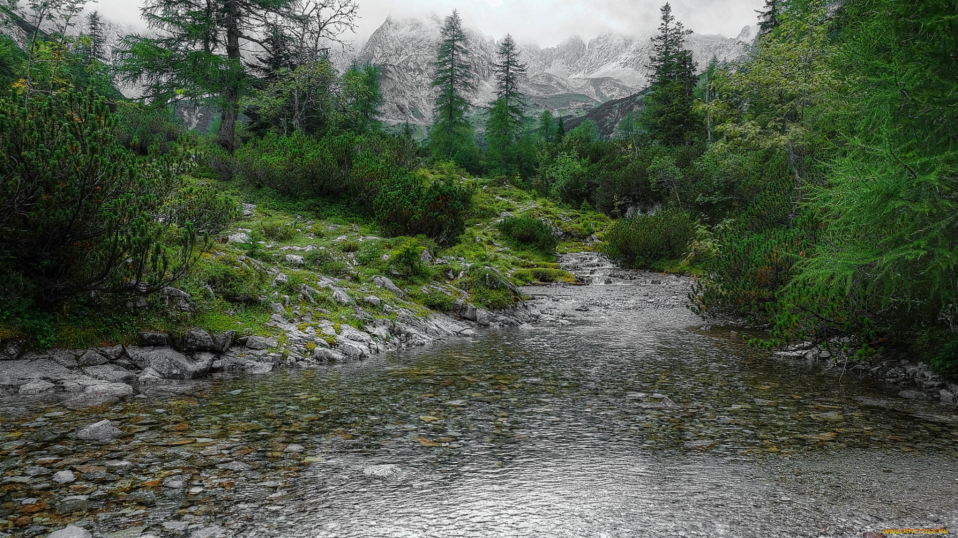 природа, реки, озера, простор