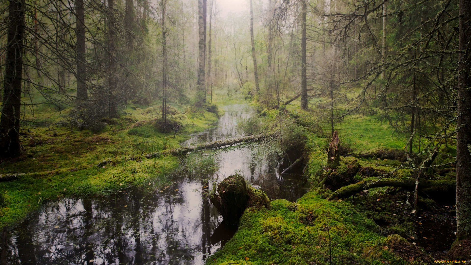 природа, реки, озера, простор