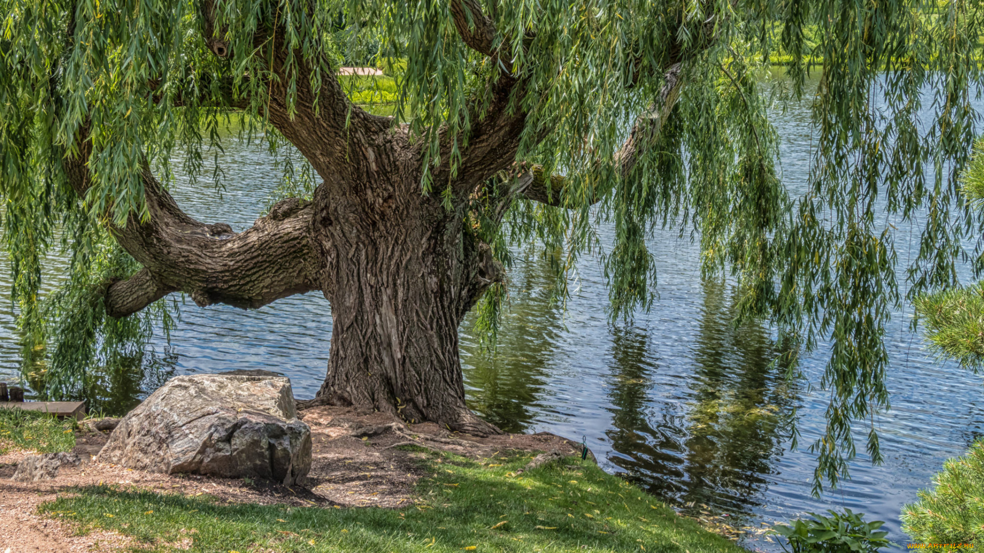 природа, реки, озера, простор