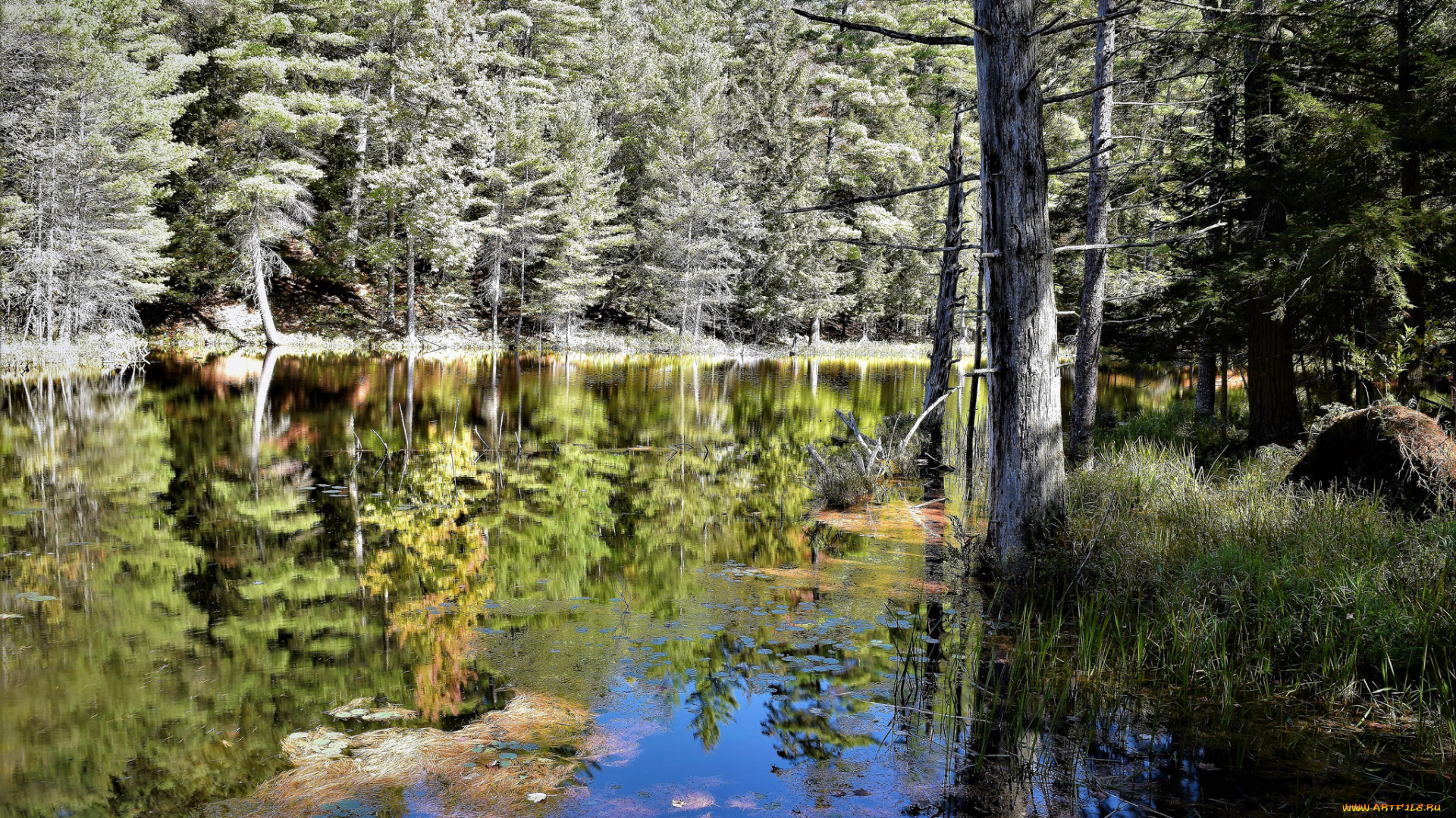 природа, реки, озера, простор