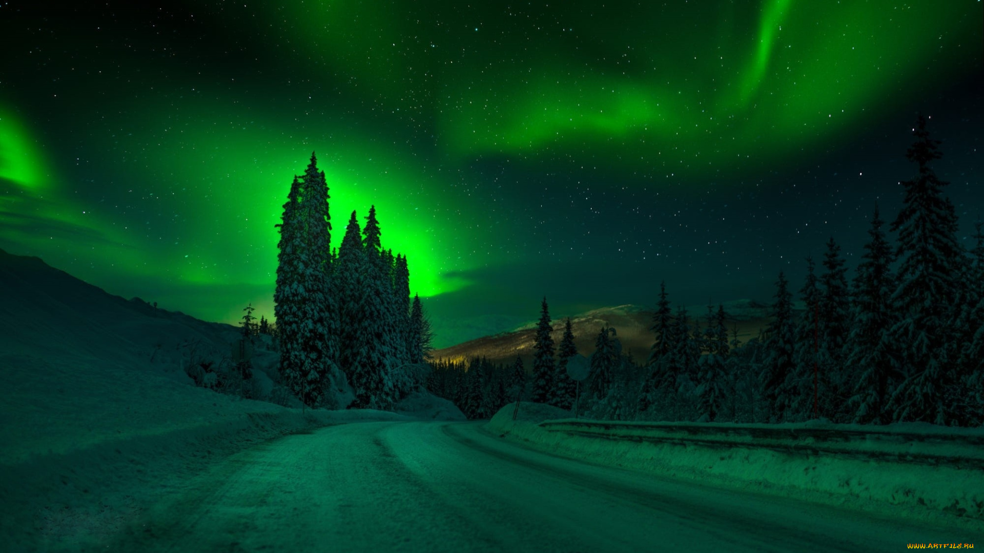 природа, северное, сияние, зима, дороги, северное, сияние, деревья, снег, ночь, небо, adnan, bubalo