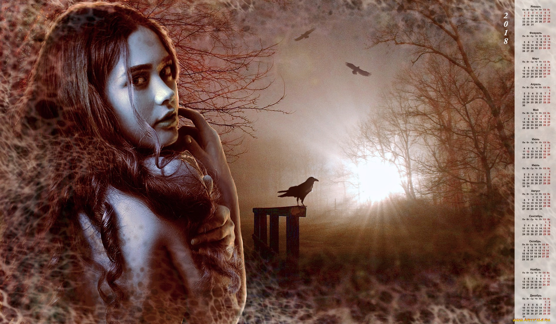 календари, компьютерный, дизайн, птица, взгляд, девушка