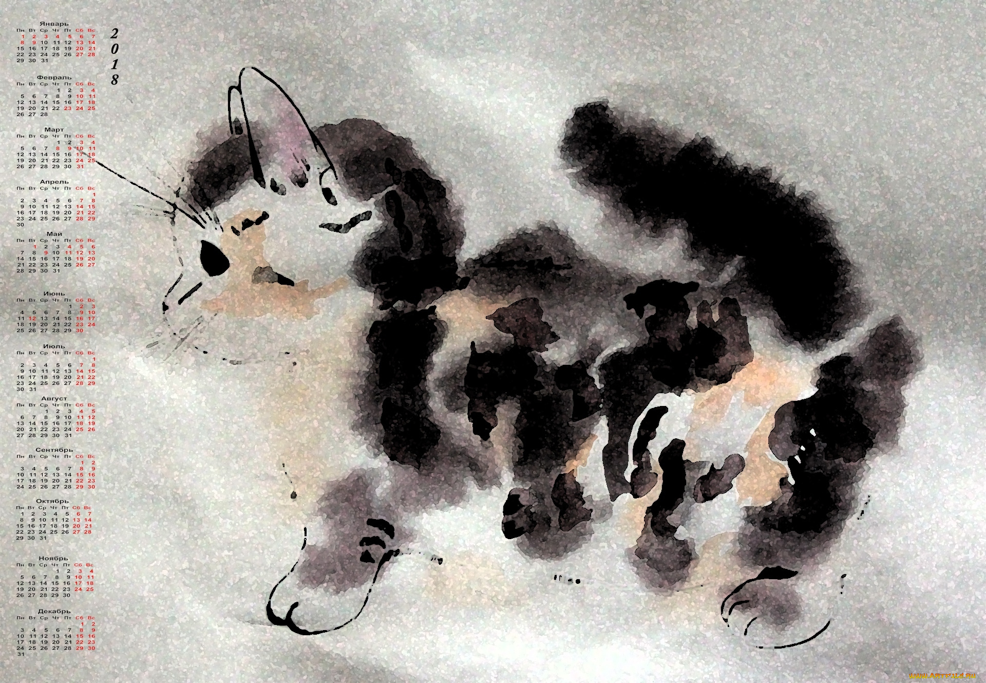 календари, рисованные, , векторная, графика, кошка