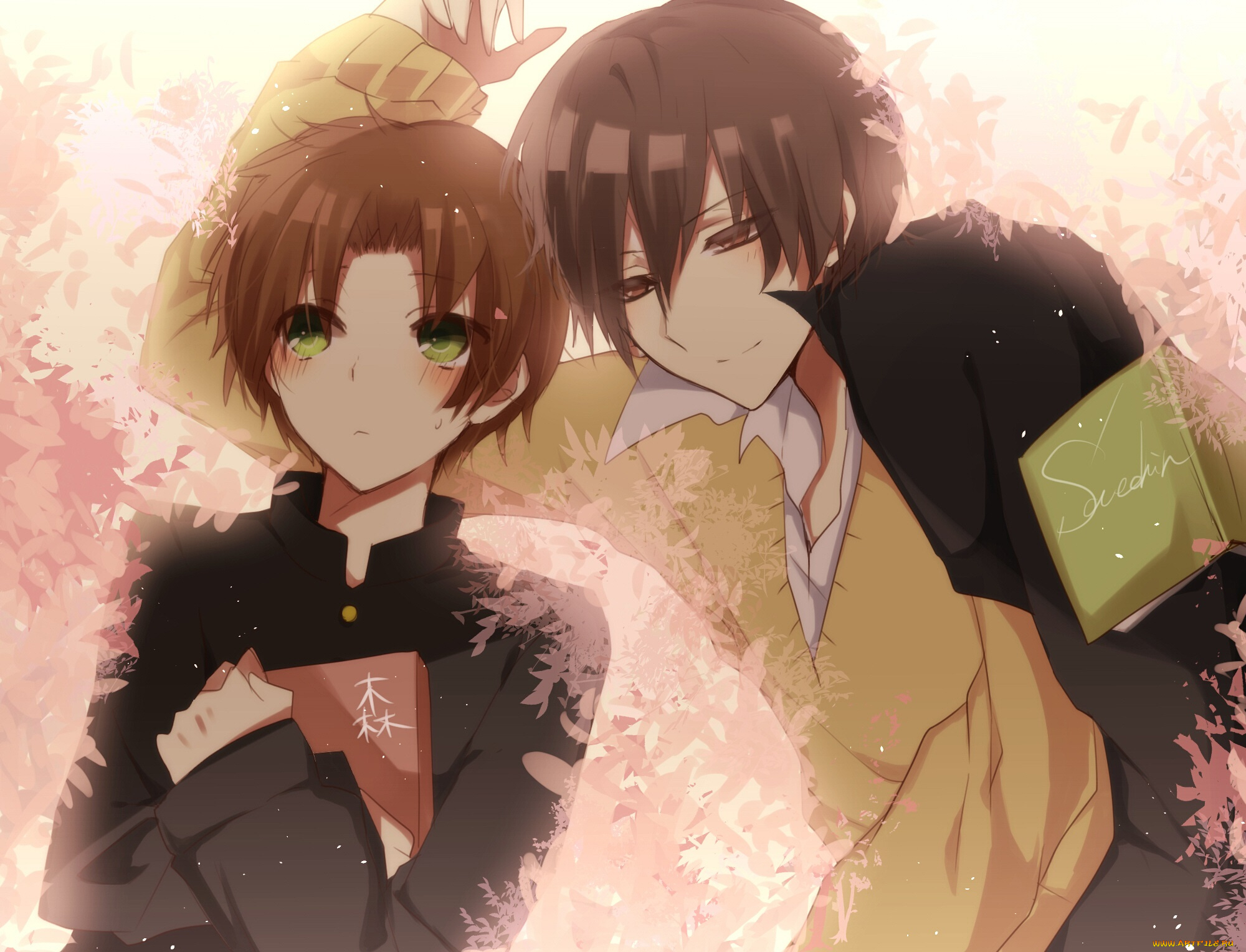 аниме, sekai, ichi, hatsukoi, парни