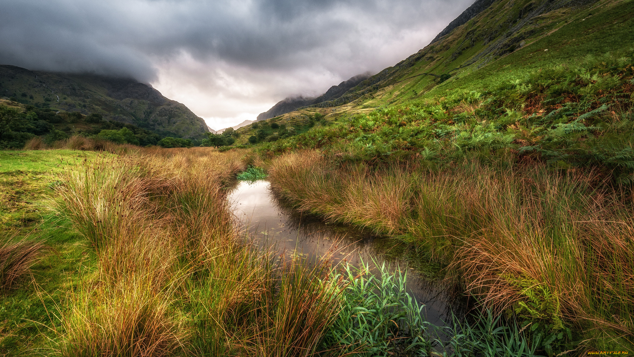 природа, реки, озера, простор