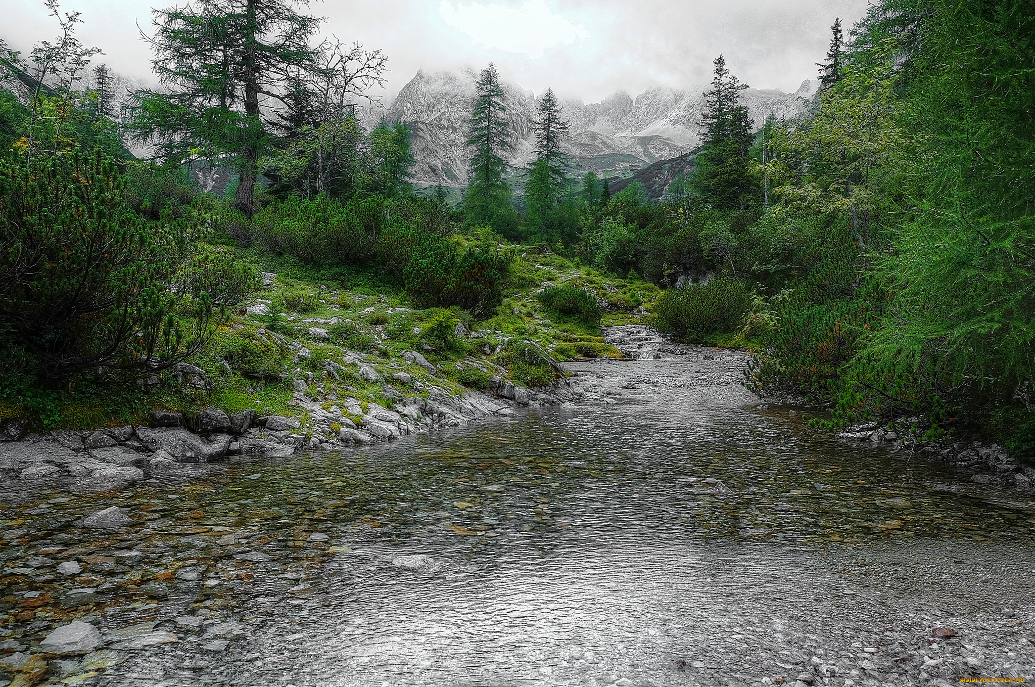 природа, реки, озера, простор