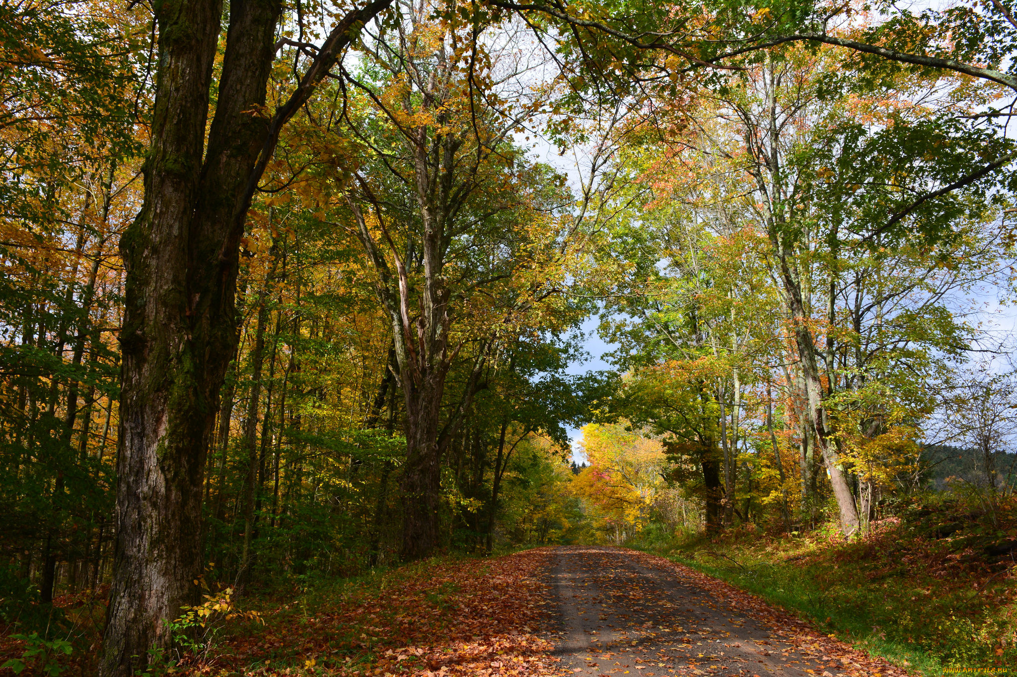 природа, дороги, простор