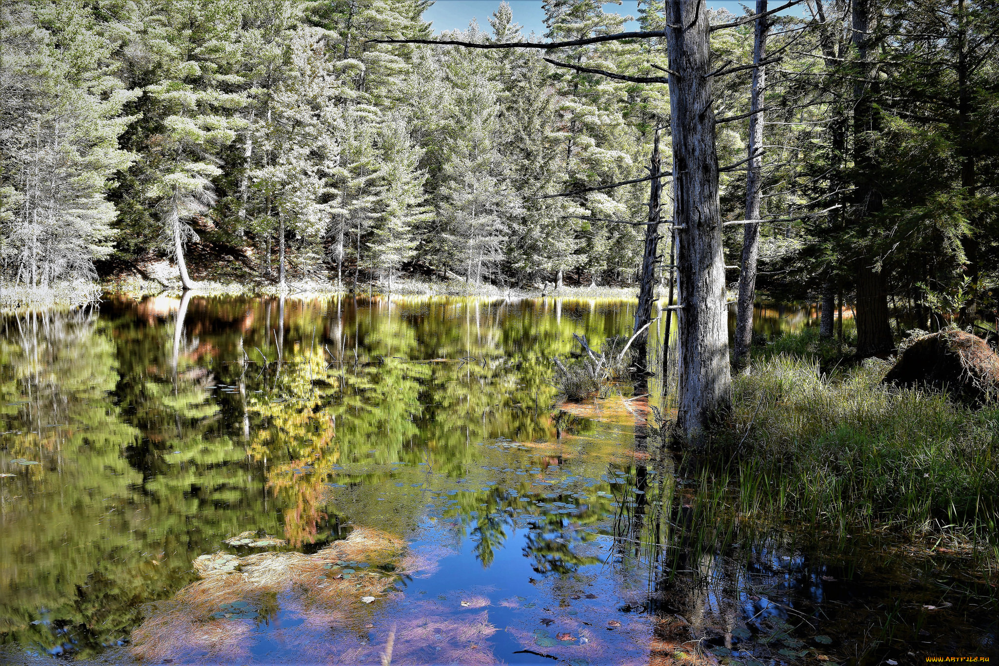 природа, реки, озера, простор