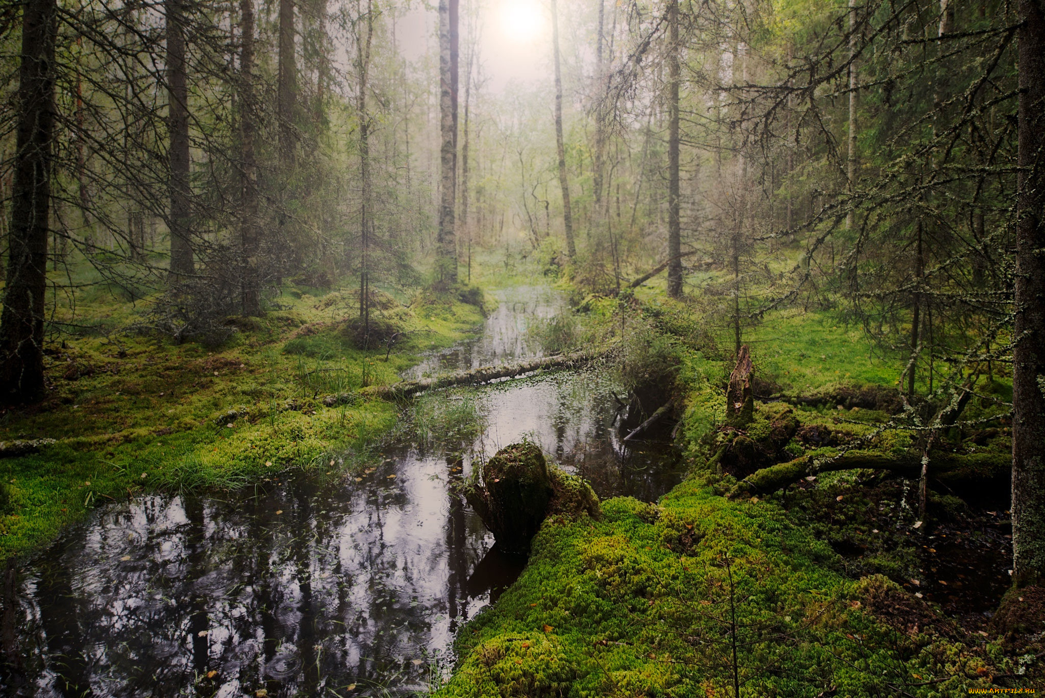 природа, реки, озера, простор