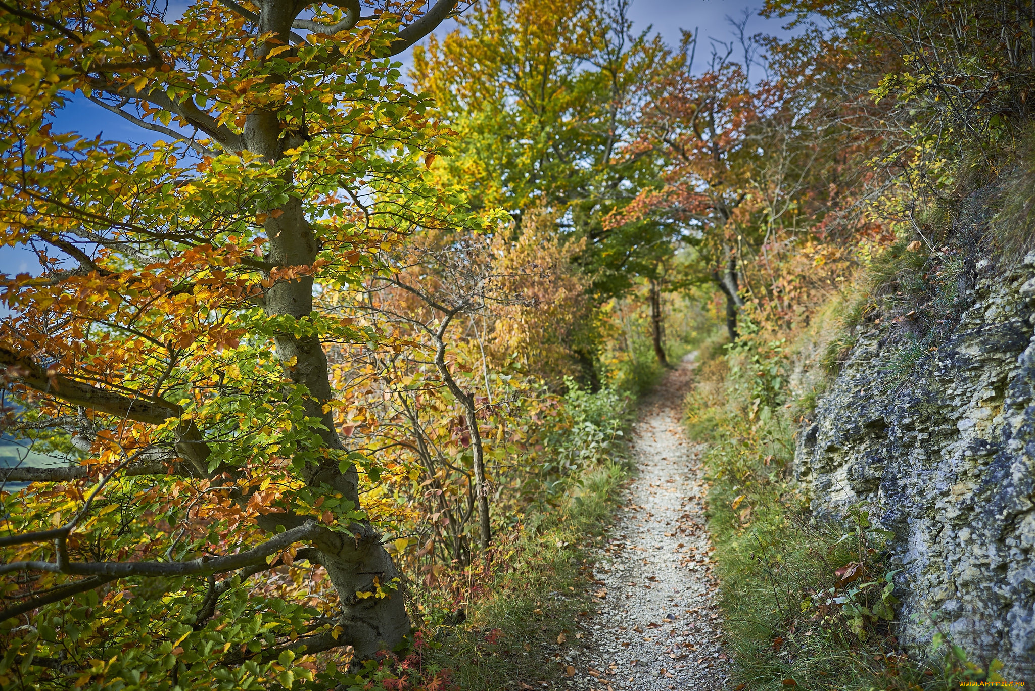 природа, дороги, простор