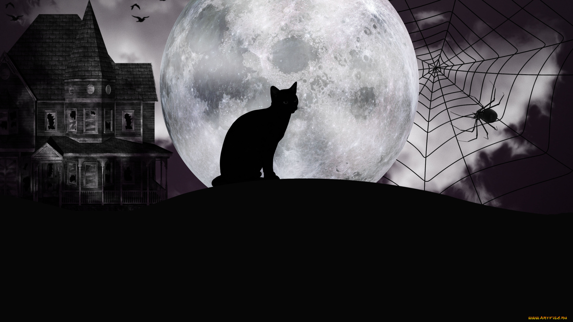 праздничные, хэллоуин, паук, луна, кот