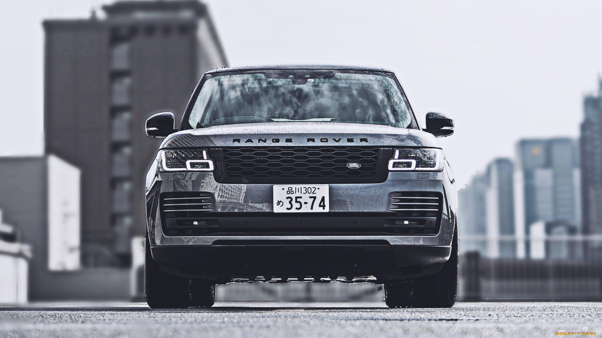автомобили, range, rover, range, rover, vogue, вид, спереди, 2021, года, l405, внедорожники, jp, spec, роскошные