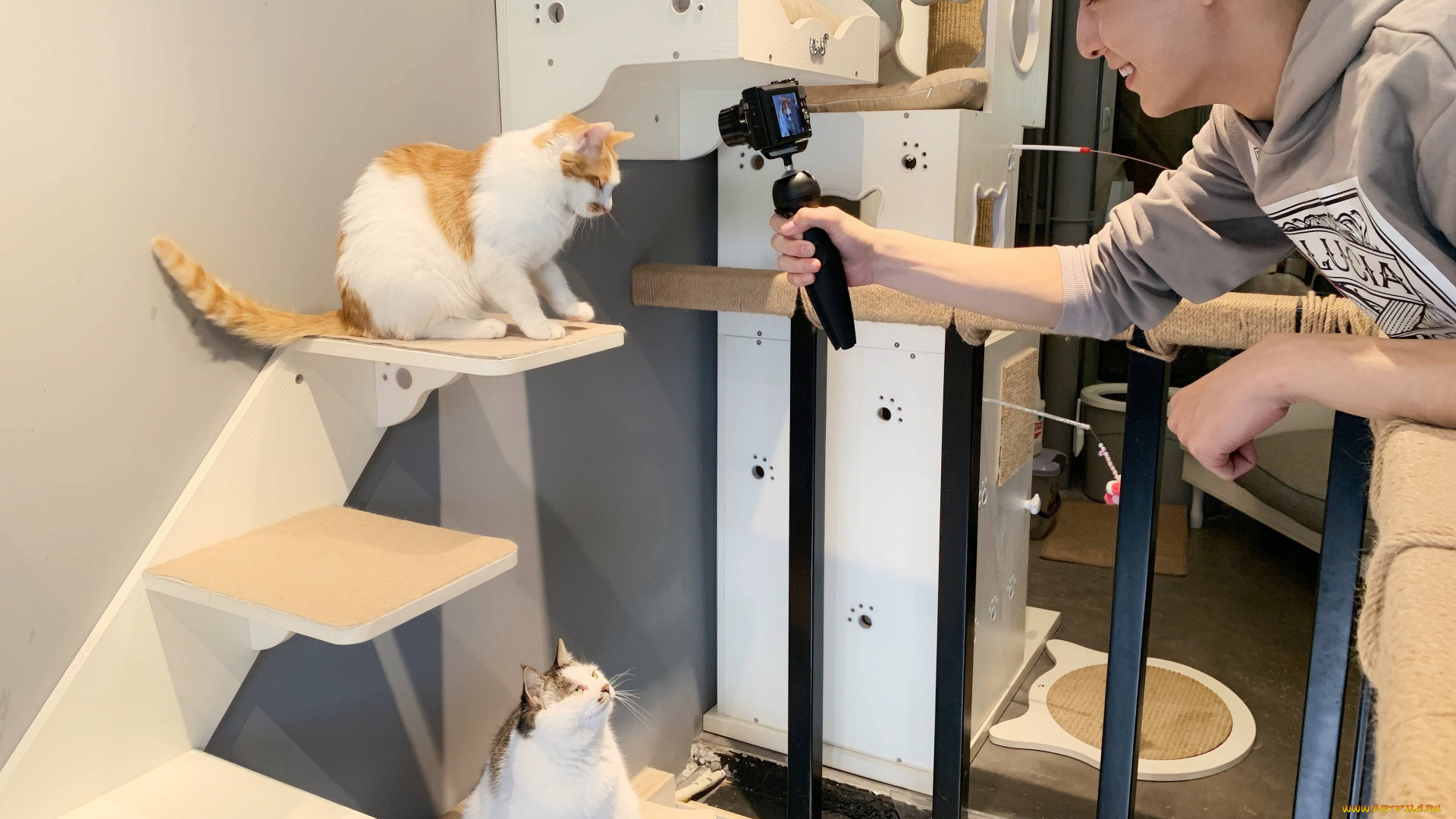 мужчины, wang, hao, xuan, ван, хаосюань, wang, hao, xuan