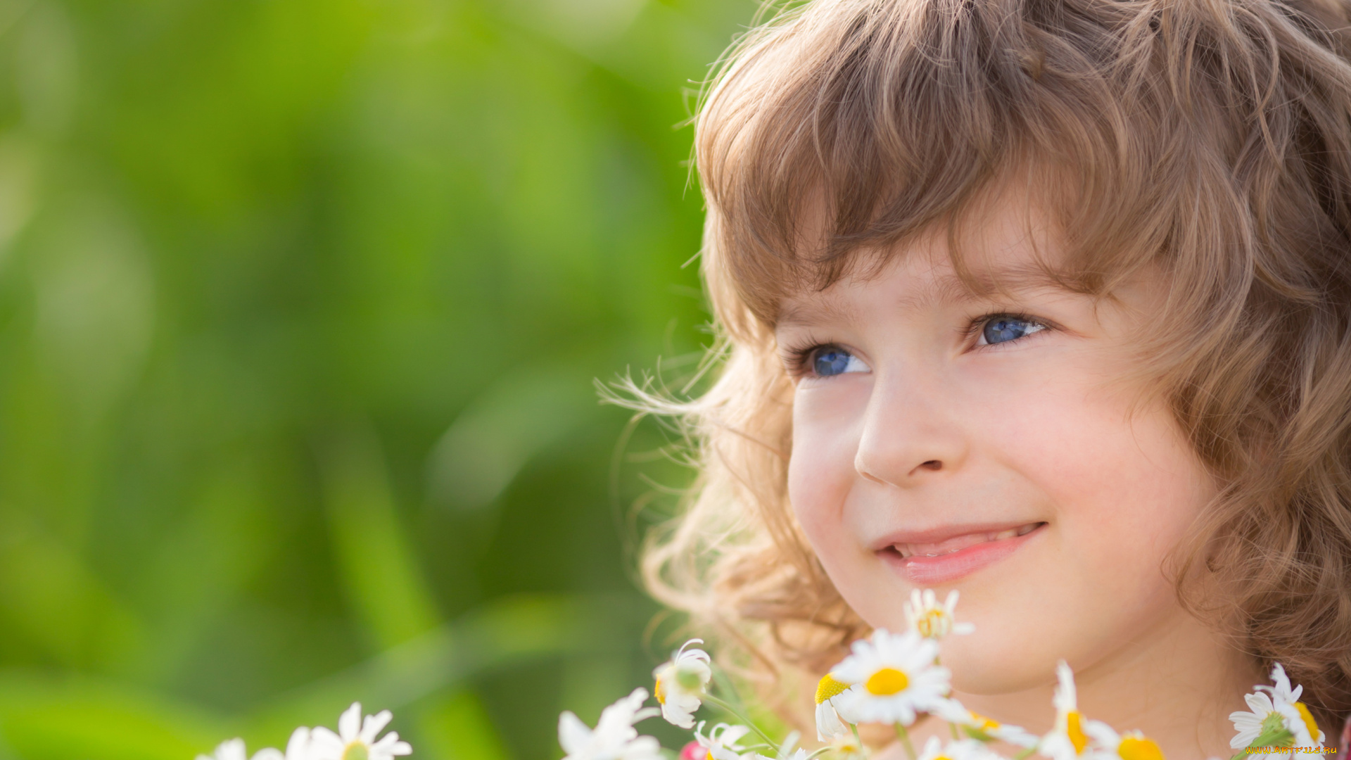 разное, дети, ребенок, лицо, букет, ромашки