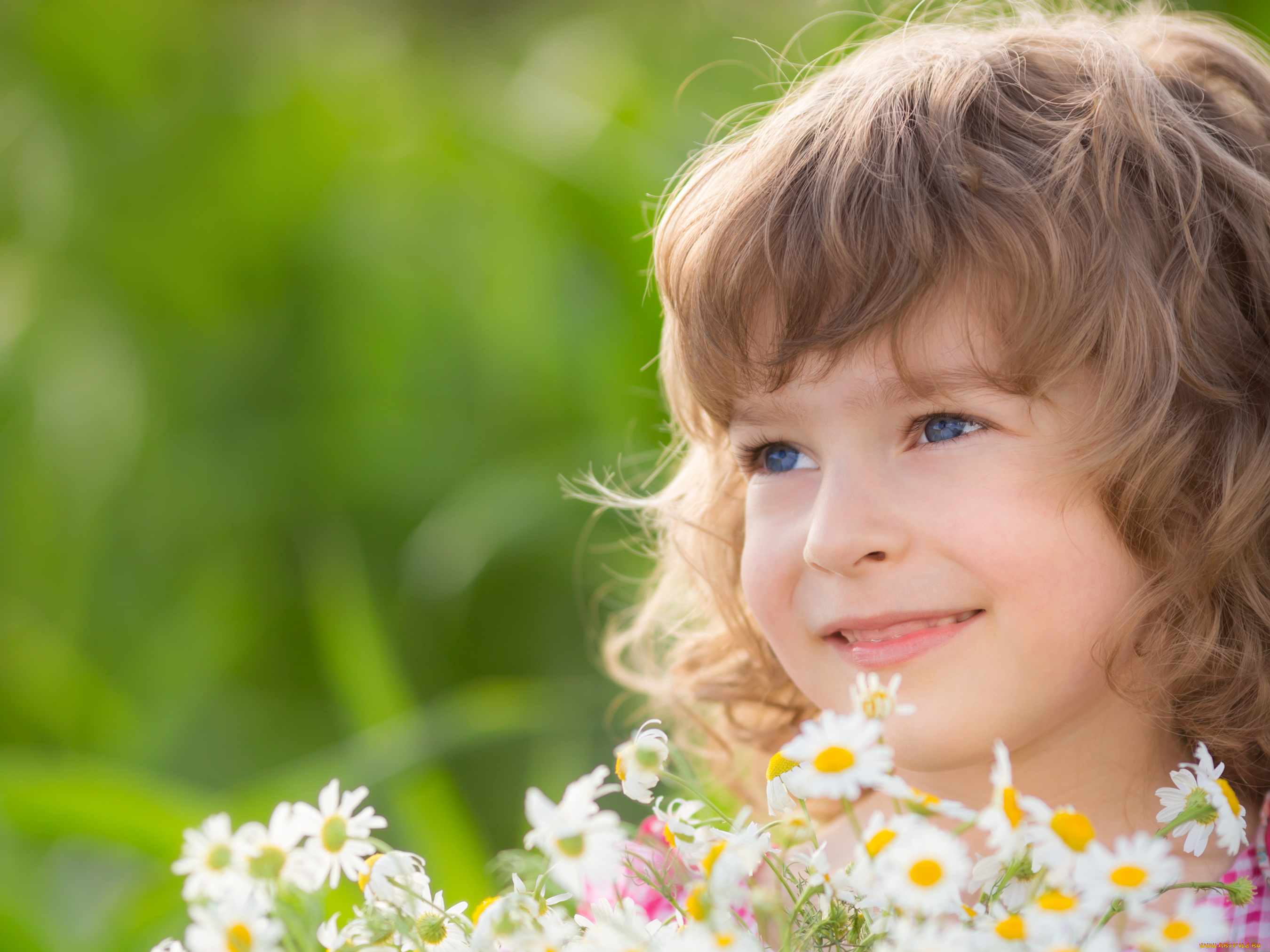 разное, дети, ребенок, лицо, букет, ромашки