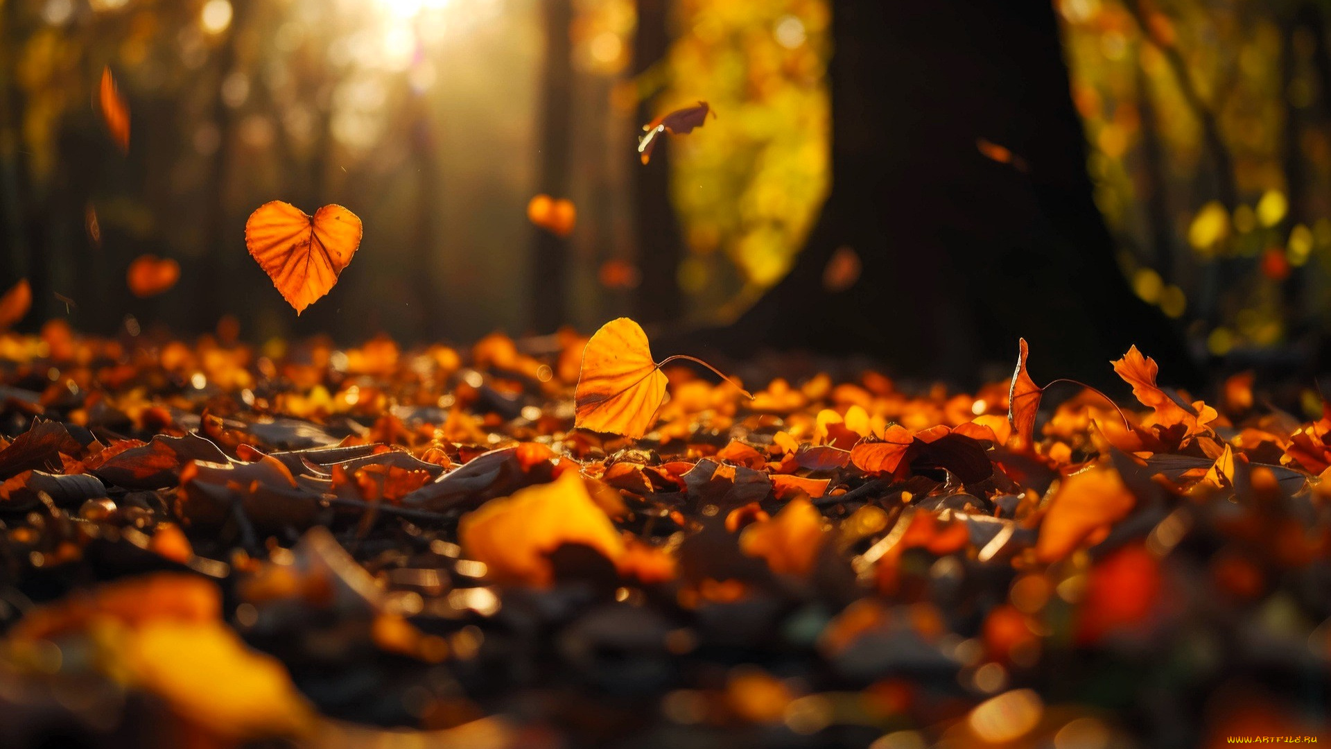 3д, графика, природа, , nature, лес, деревья, осень, листья