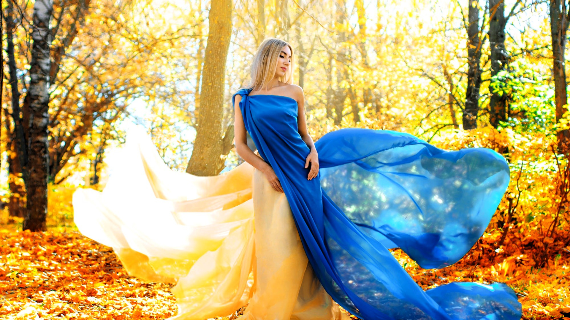 девушки, -, блондинки, , светловолосые, блондинка, платье, шлейф, лес, листья, осень, деревья