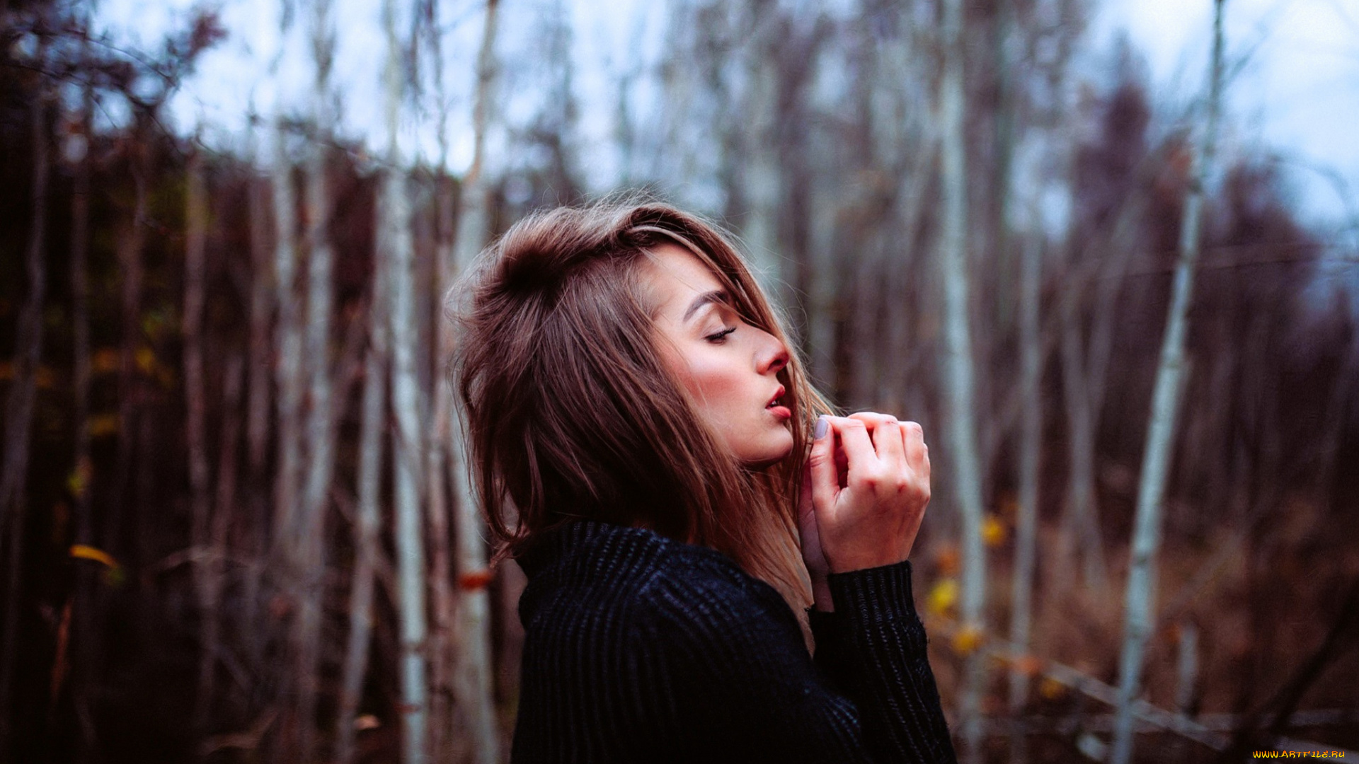 девушки, -, брюнетки, , шатенки, шатенка, свитер, лес, осень