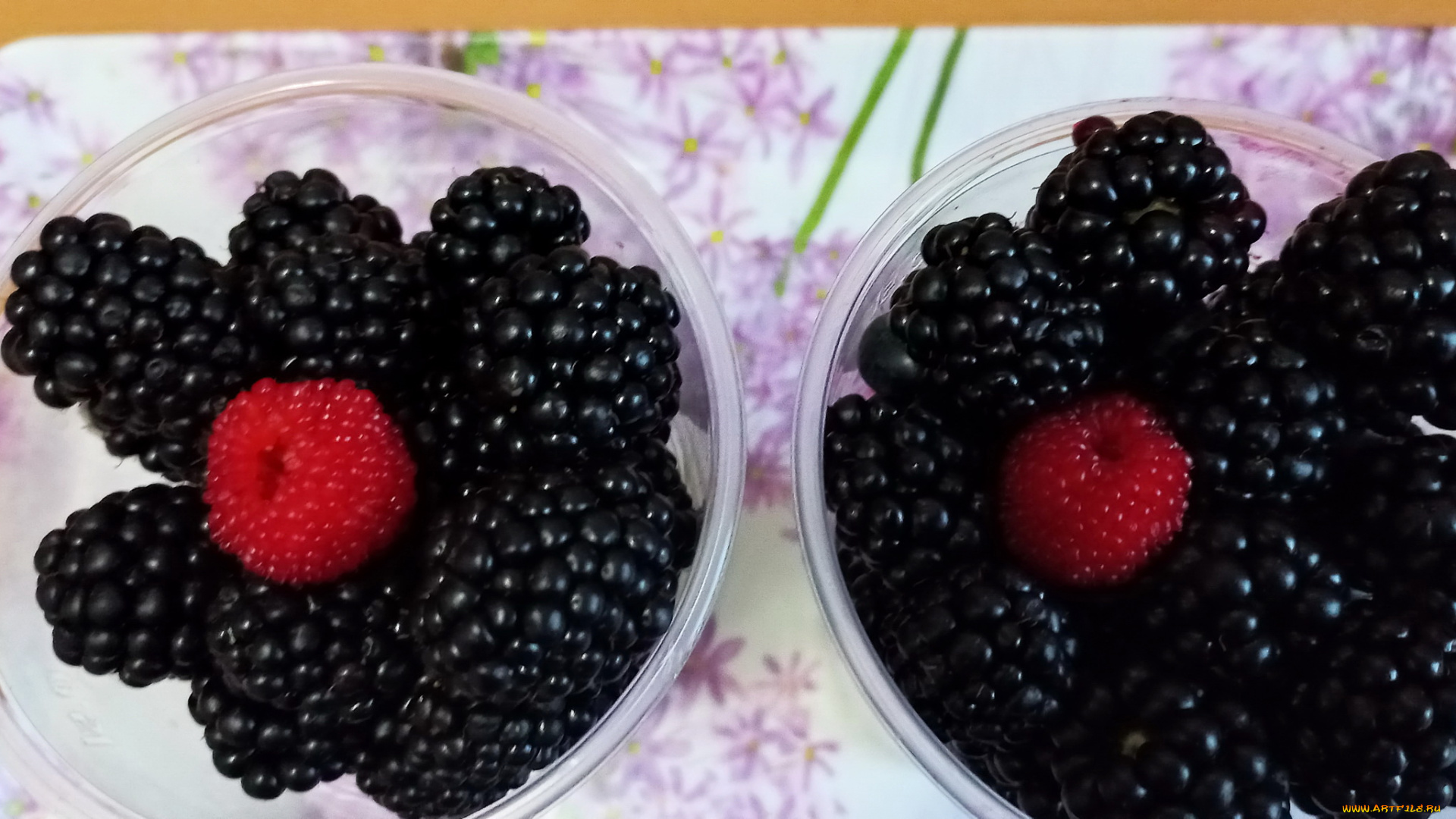 еда, ежевика, ягоды, макро