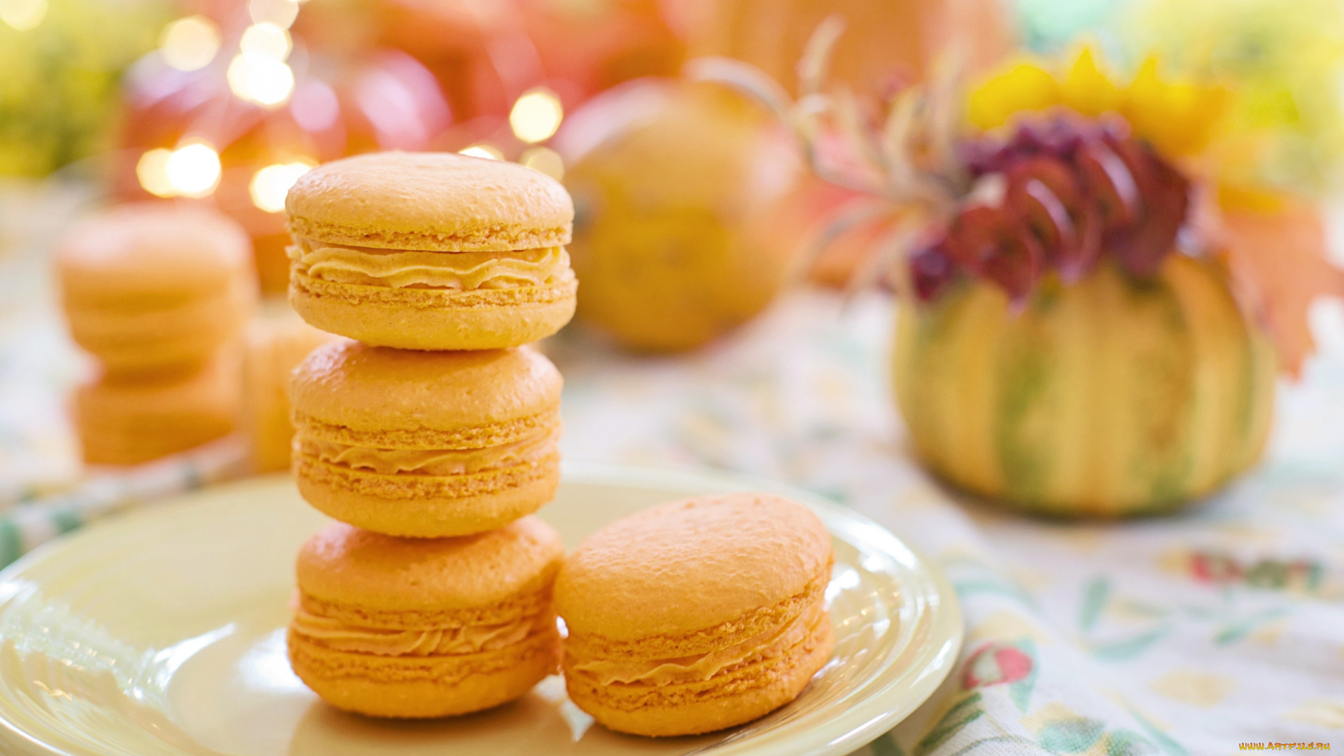 еда, макаруны, лакомство, апельсиновые