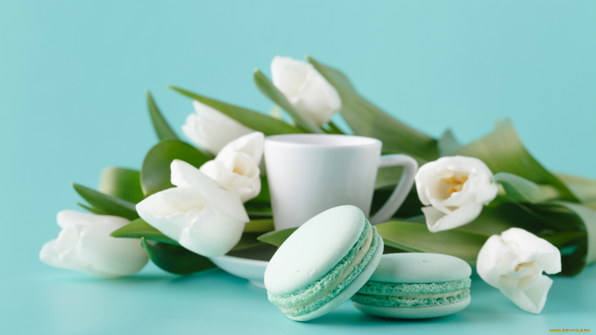 еда, макаруны, лакомство, тюльпаны