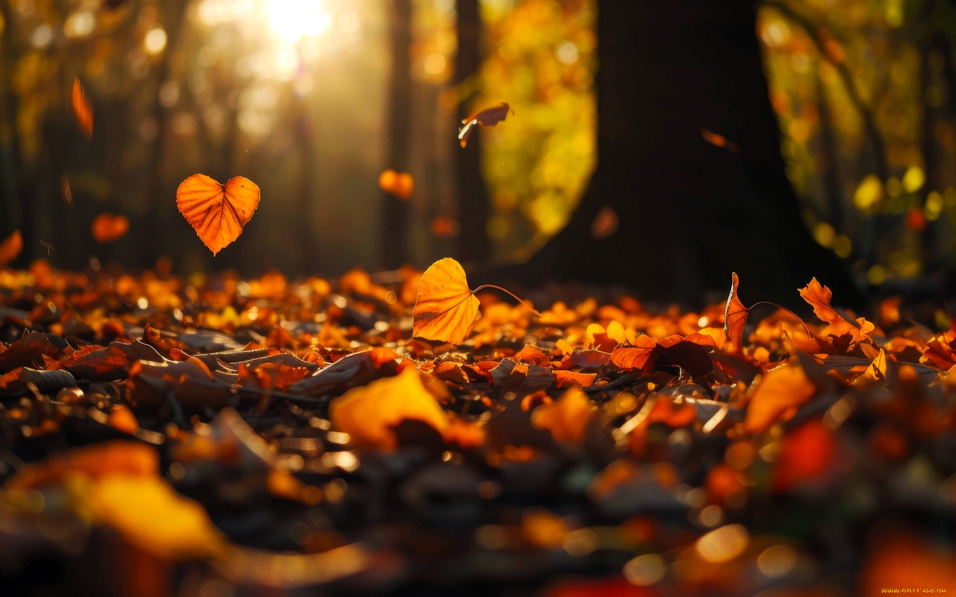 3д, графика, природа, , nature, лес, деревья, осень, листья