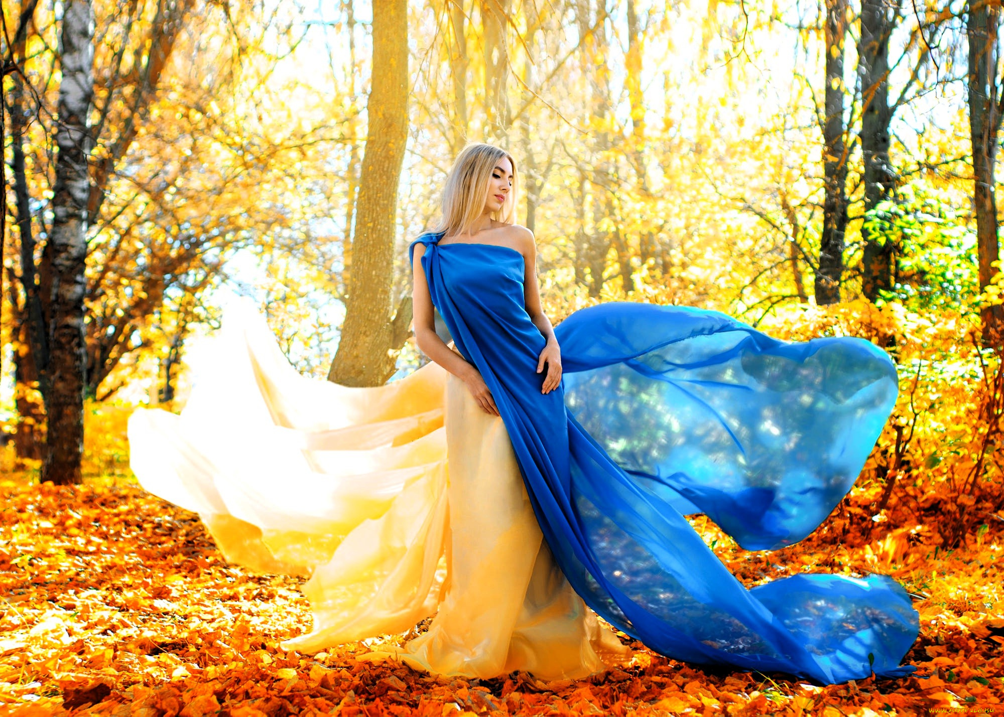 девушки, -, блондинки, , светловолосые, блондинка, платье, шлейф, лес, листья, осень, деревья