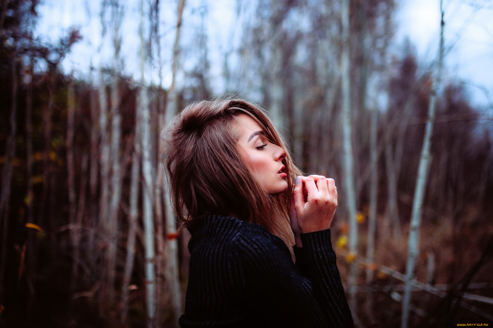 девушки, -, брюнетки, , шатенки, шатенка, свитер, лес, осень