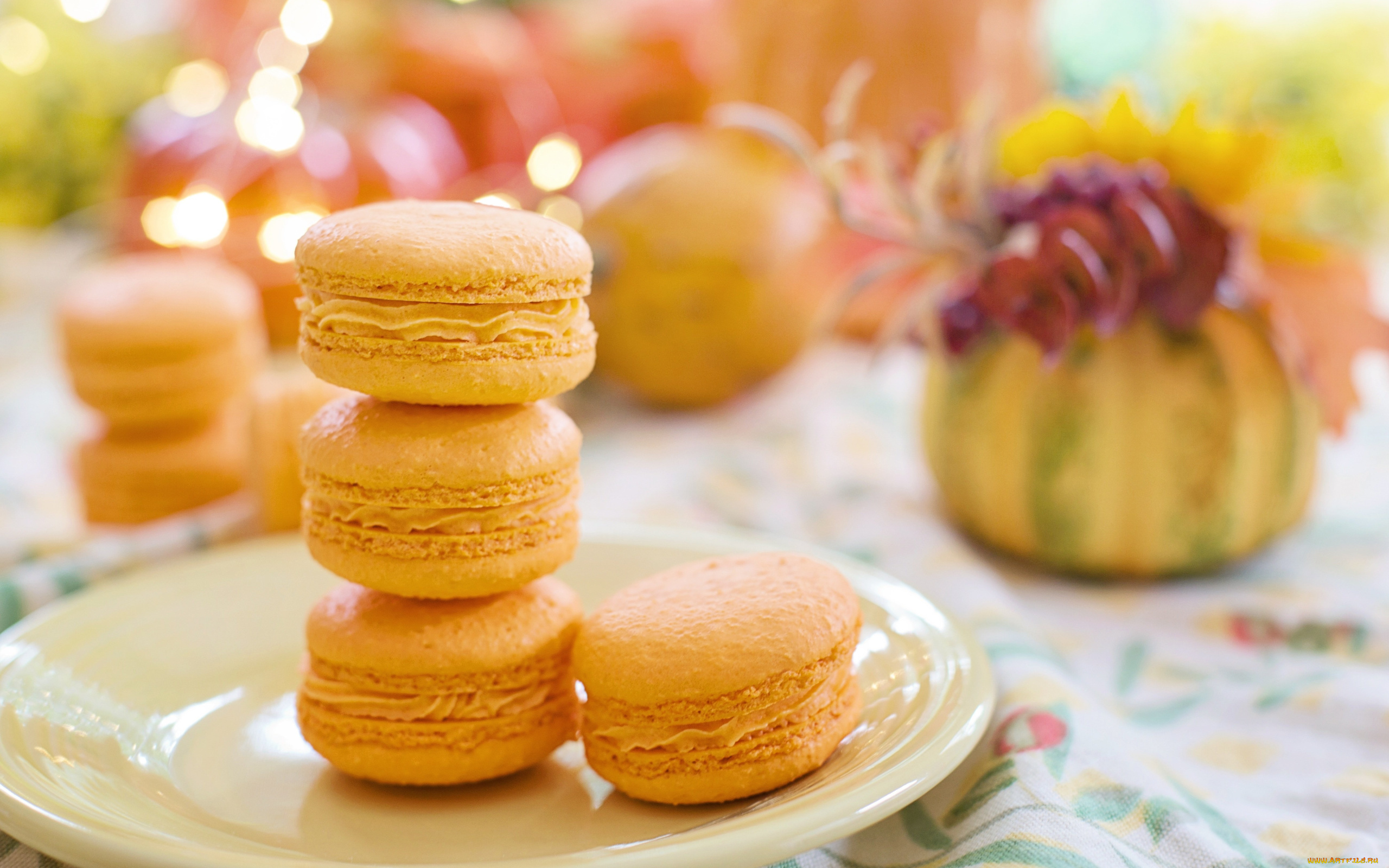 еда, макаруны, лакомство, апельсиновые