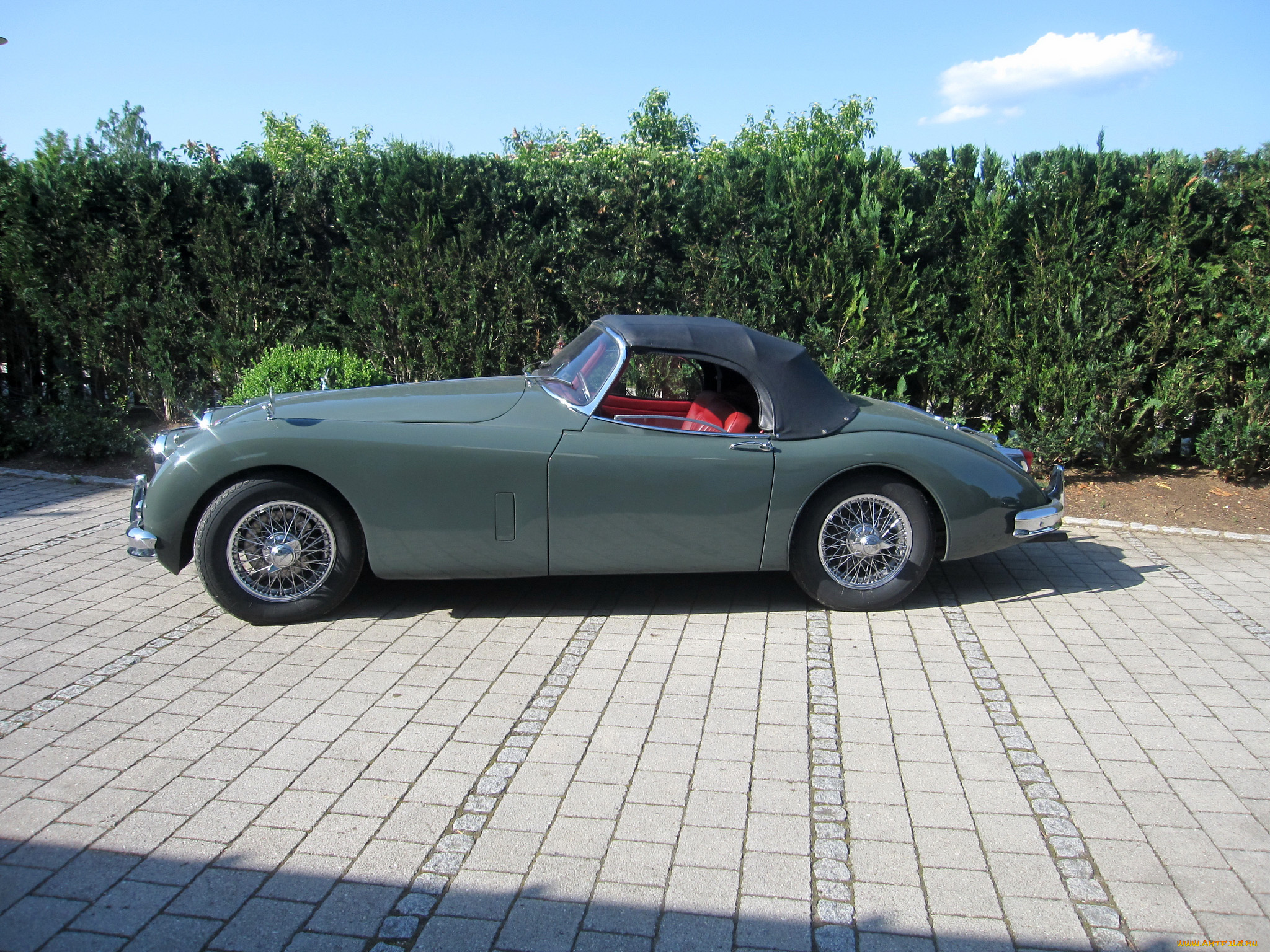 автомобили, jaguar