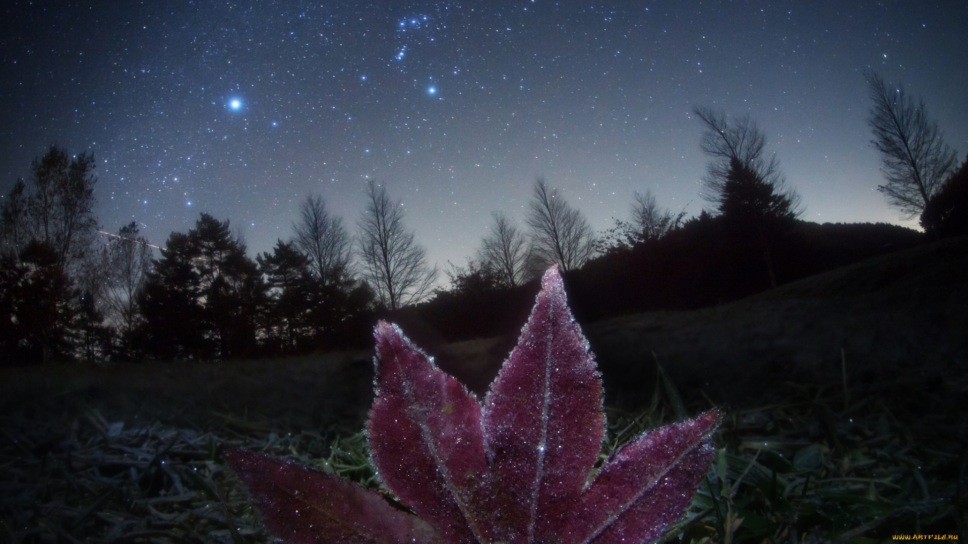 3д, графика, atmosphere, mood, атмосфера, настроения