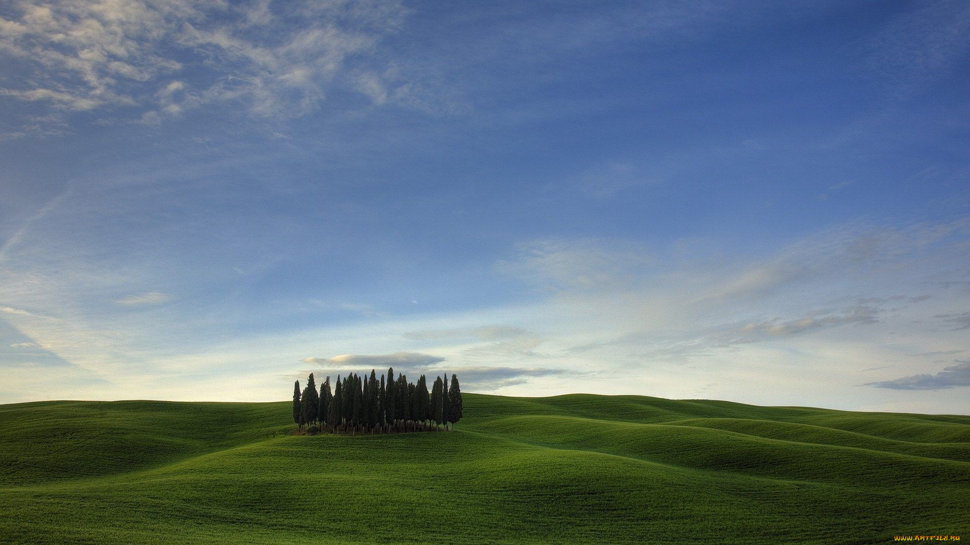 природа, деревья