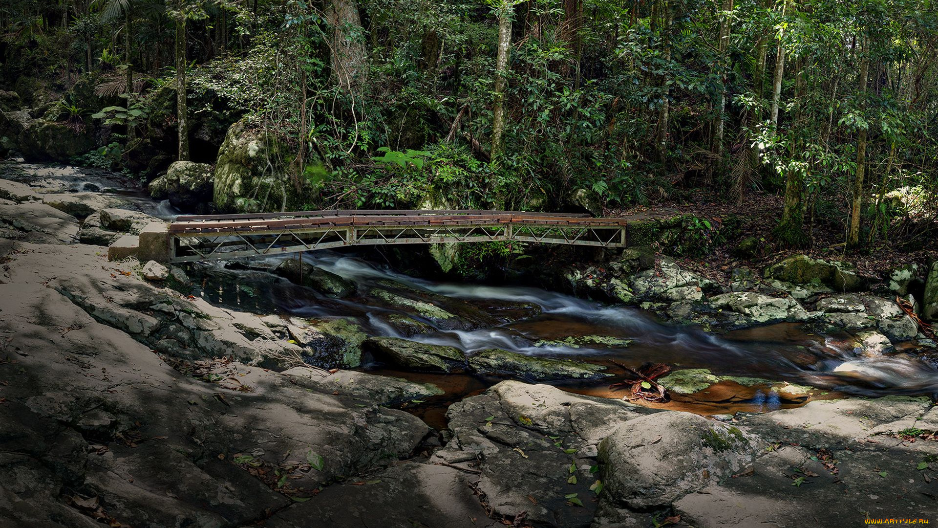 природа, реки, озера