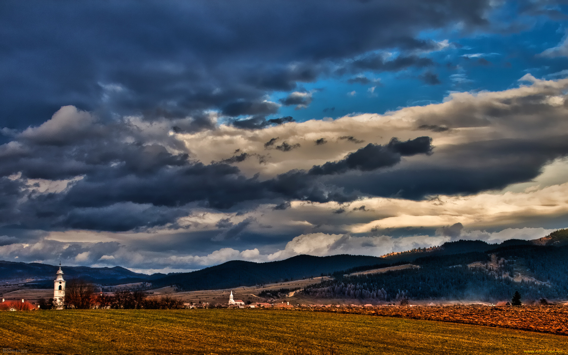 природа, поля