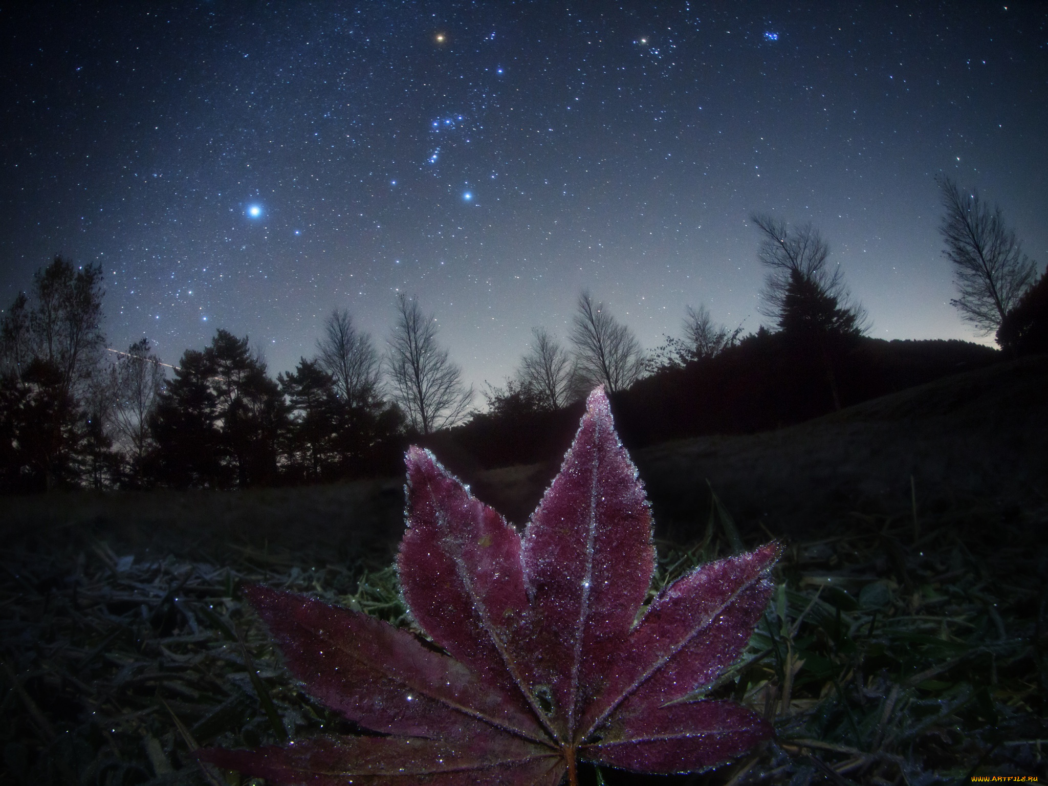 3д, графика, atmosphere, mood, атмосфера, настроения