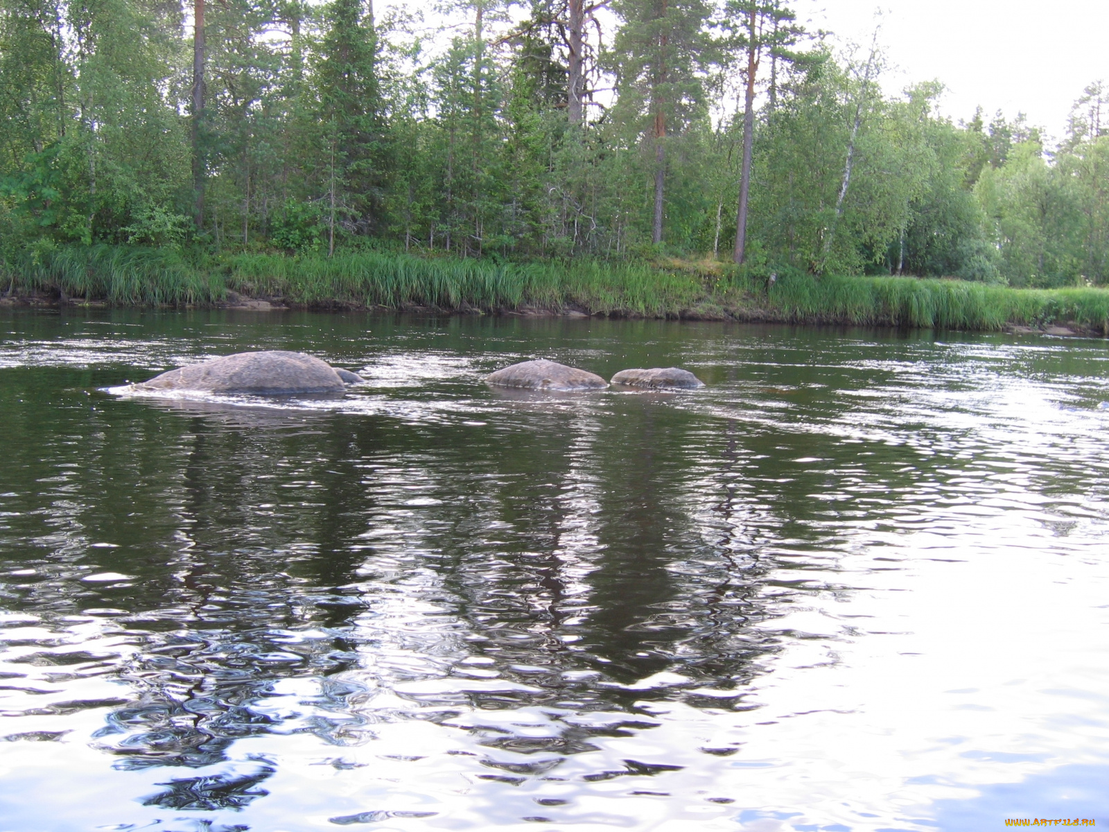 природа, реки, озера, камни, река