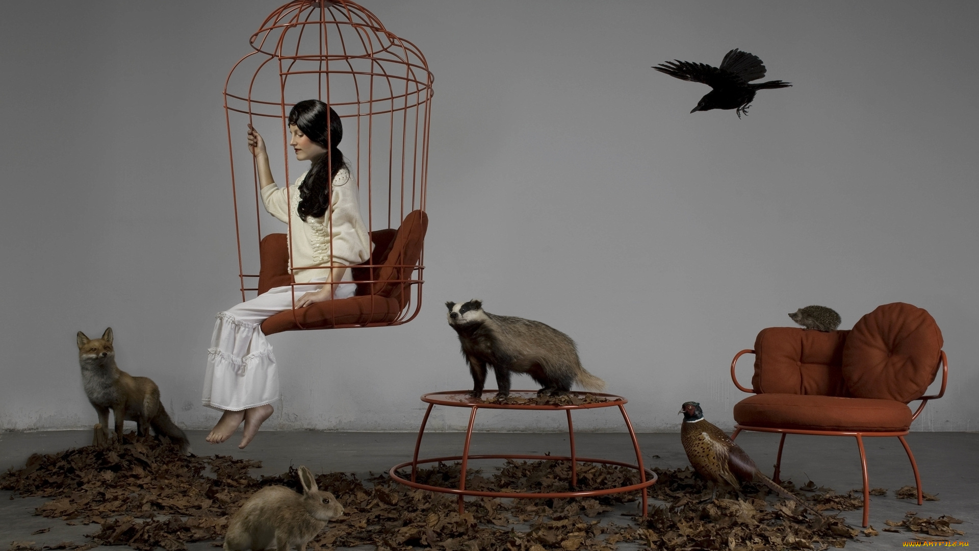 -Unsort, Креатив, девушки, unsort, креатив, клетка, заяц, барсук, ёжик, лиса, фазан, ворона