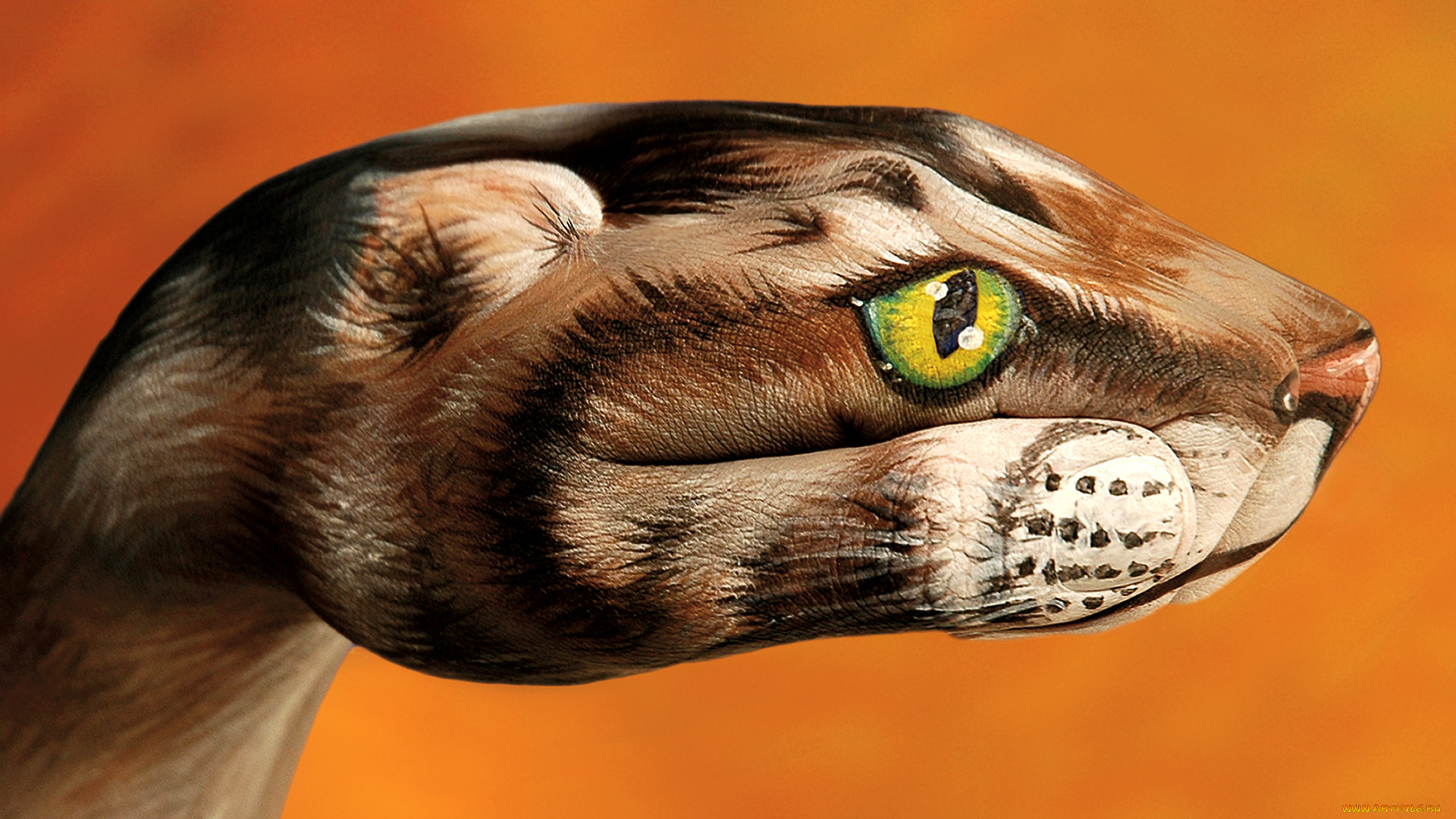 hand, painting, by, guido, daniel, разное, руки