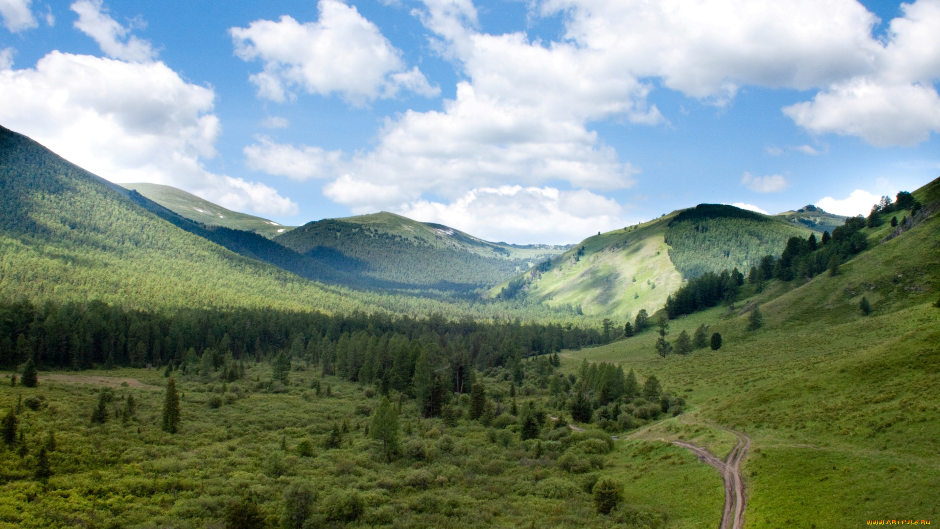 природа, горы, лес, небо, облака